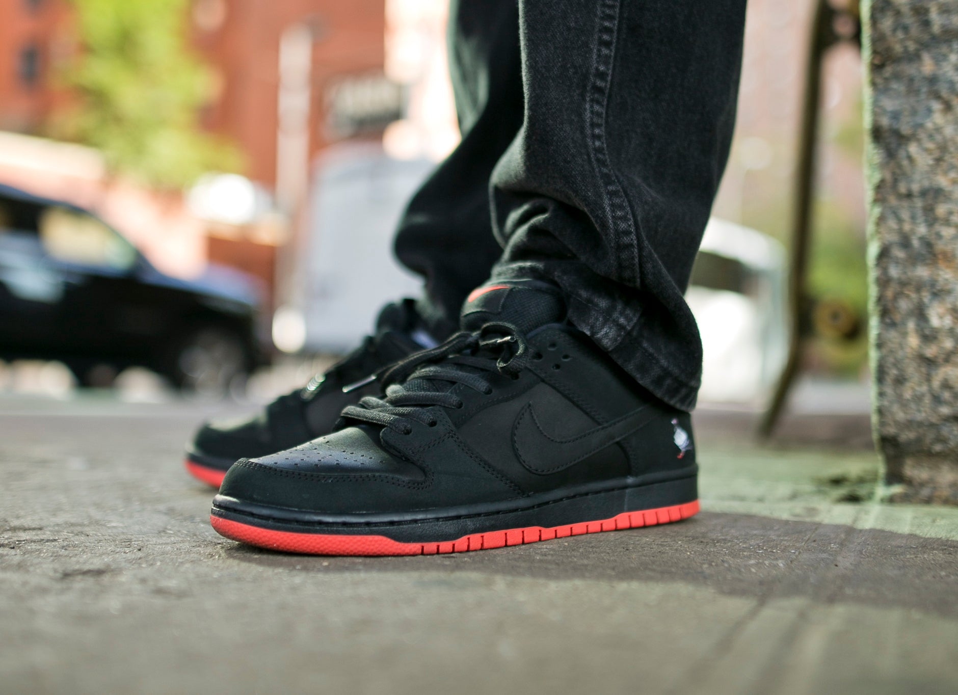 Nike sb pigeon on feet Clearance