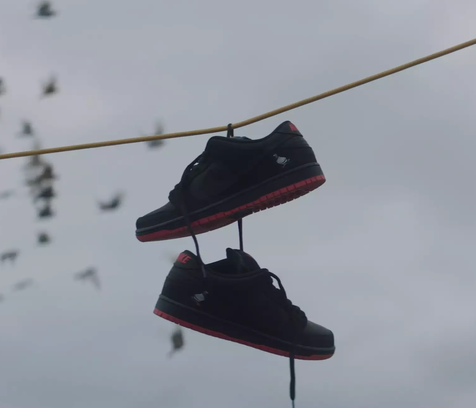 ROOTED tells the story of the coveted Nike SB Dunk “Black Pigeon.” card image