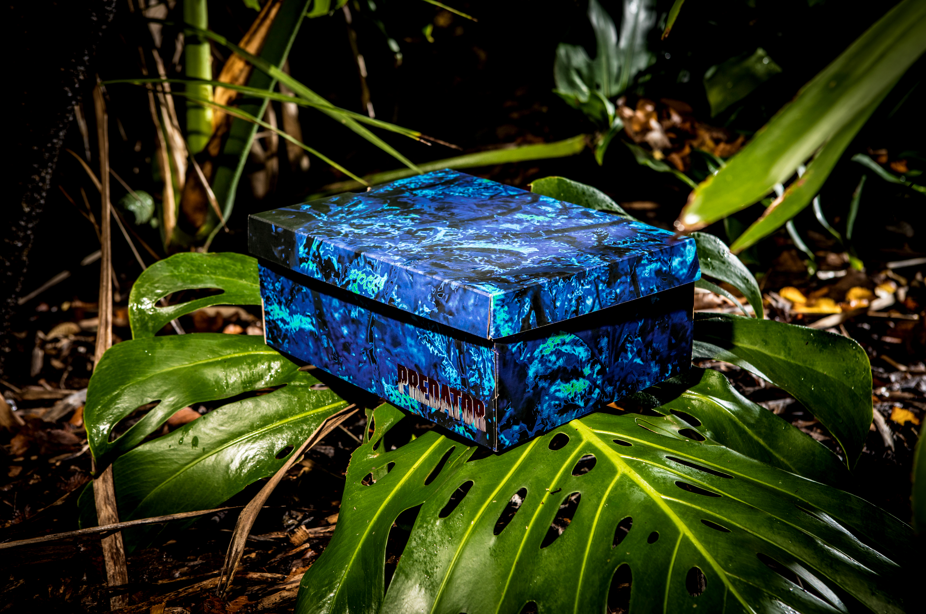 dmx run 10 x predator