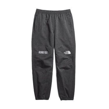 The North Face Mens GTX Mountain Pants