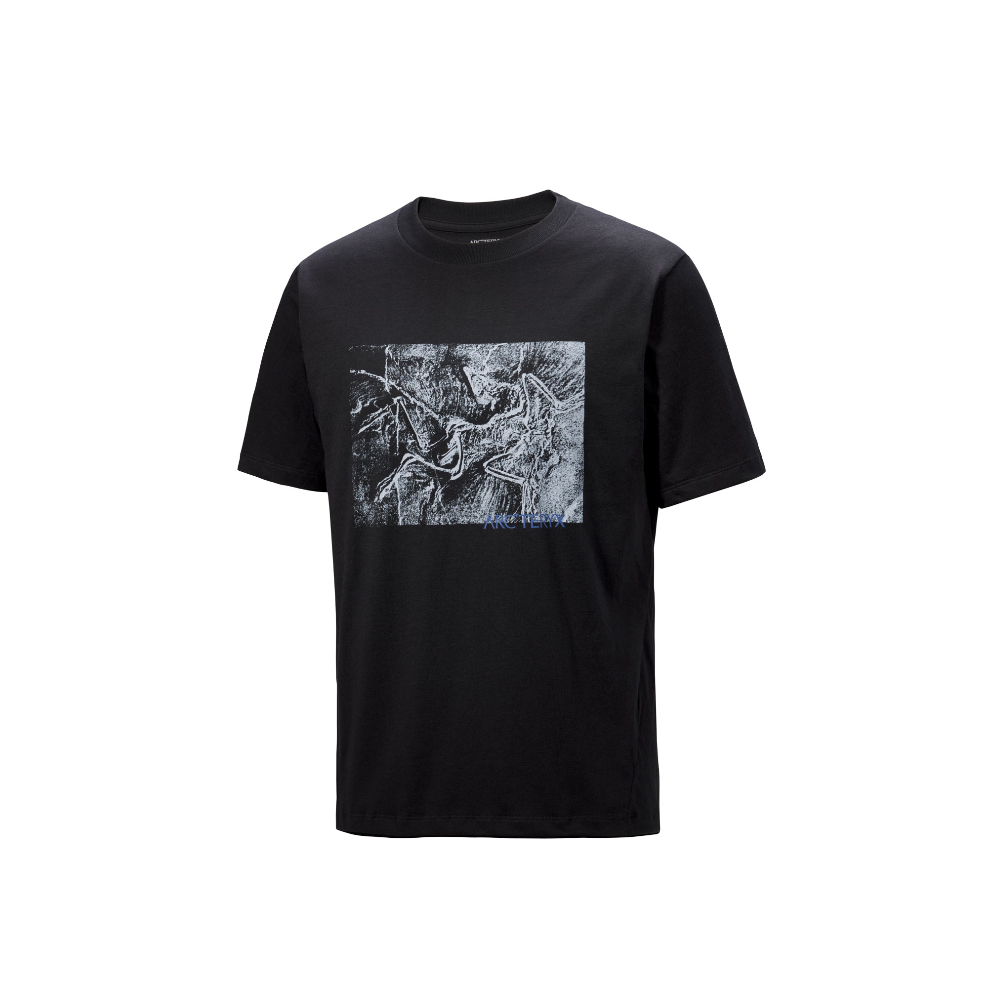 Arc'teryx Mens Kragg Cotton Lithographica Tee – Extra Butter