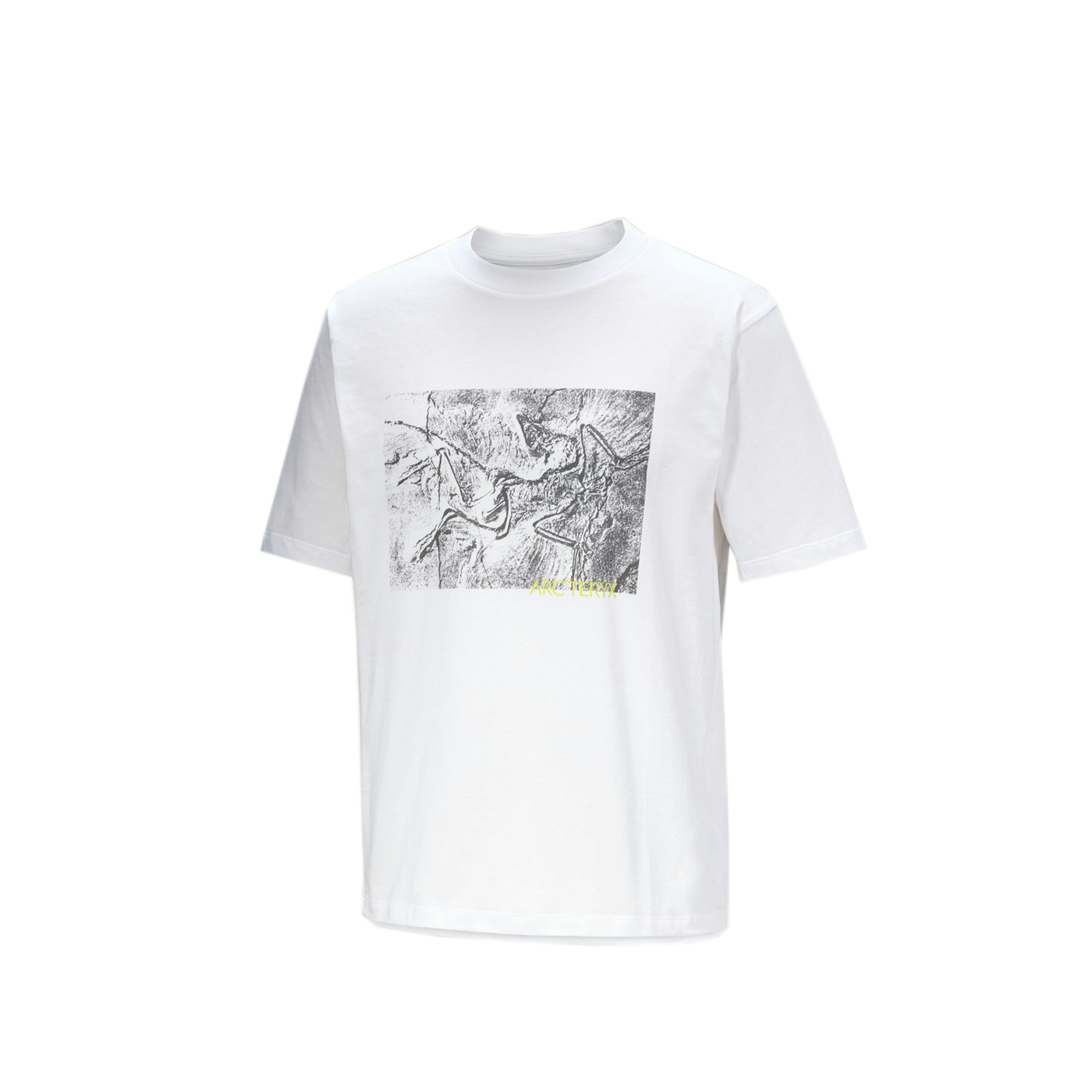Arc'teryx Mens Kragg Cotton Lithographica Tee – Extra Butter