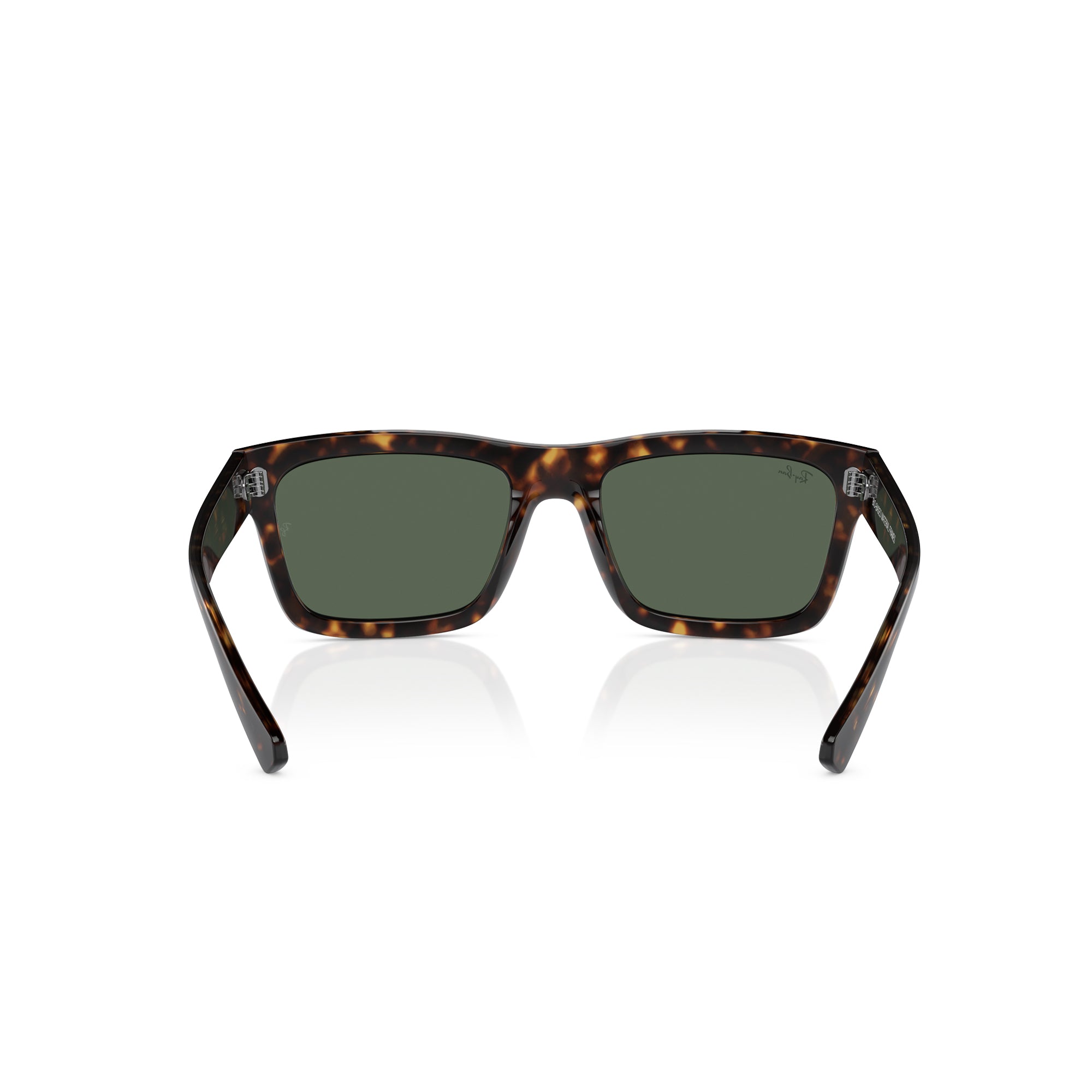 RAY-BAN Warren Havana W/ Dark Green Sunglasses