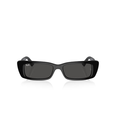 Ray-Ban Teru Black W/ Dark Grey Sunglasses