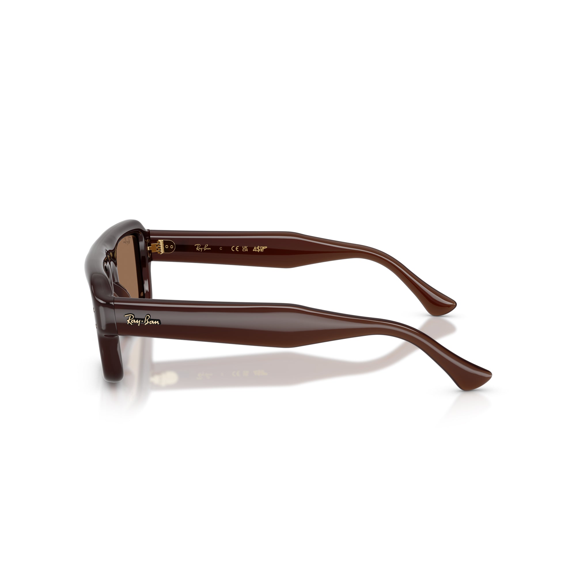 Ray-Ban x A$AP Rocky Flacko Puffer Transparent Brown Frame W/ Brown Lens Sunglasses