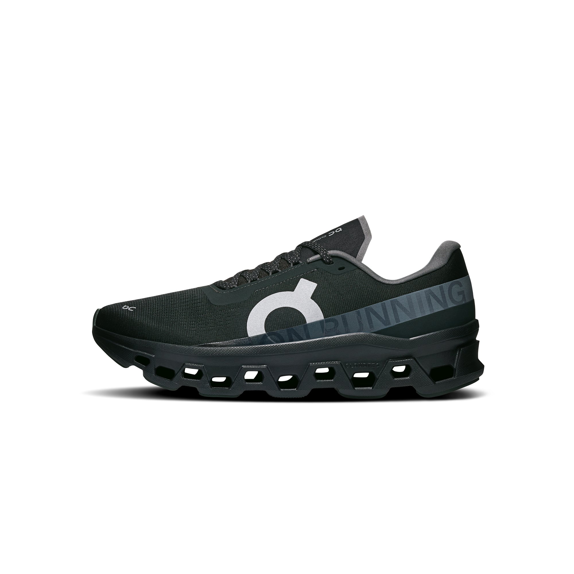 black silver sneakers on a white background