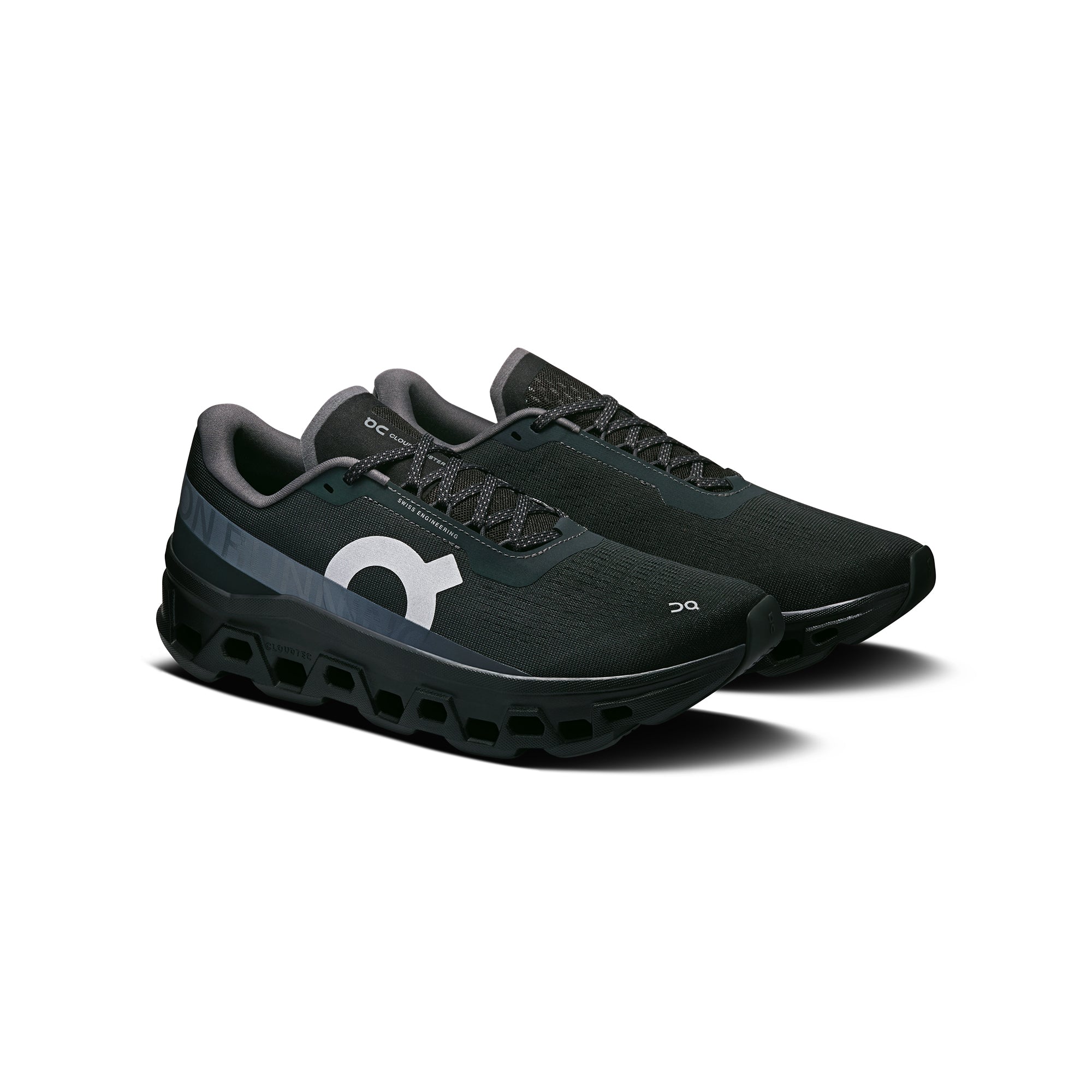 black silver sneakers on a white background