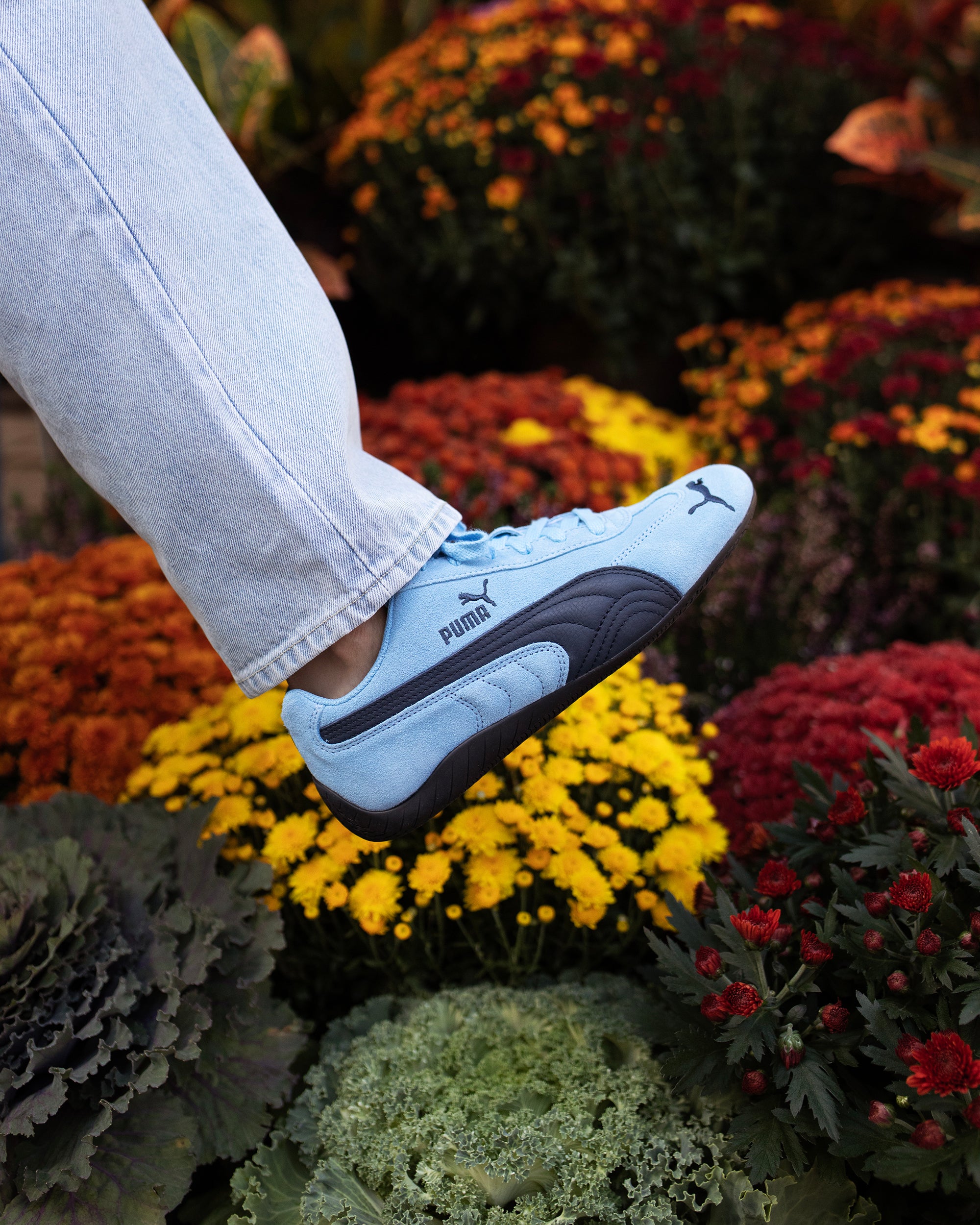 Puma suede blue flower online