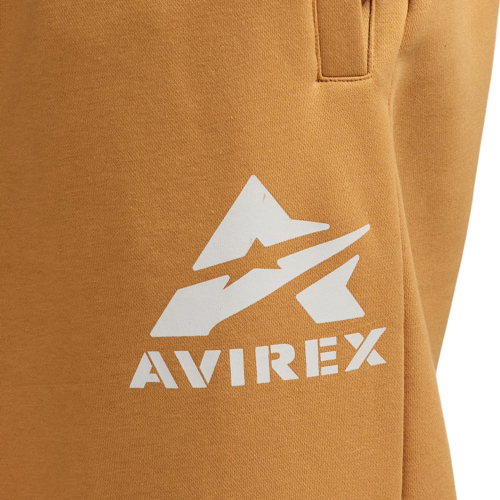 Avirex Mens DTM Cargo Jogger Pant