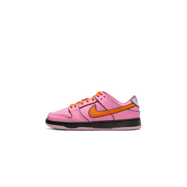 Nike SB Little Kids Dunk Low Pro Shoes