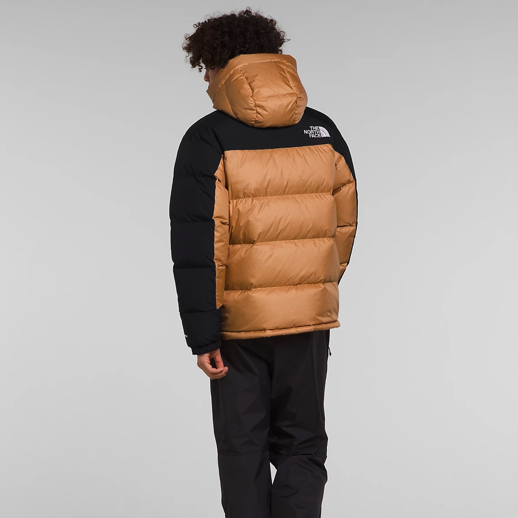 The North Face Mens HMLYN Down Parka