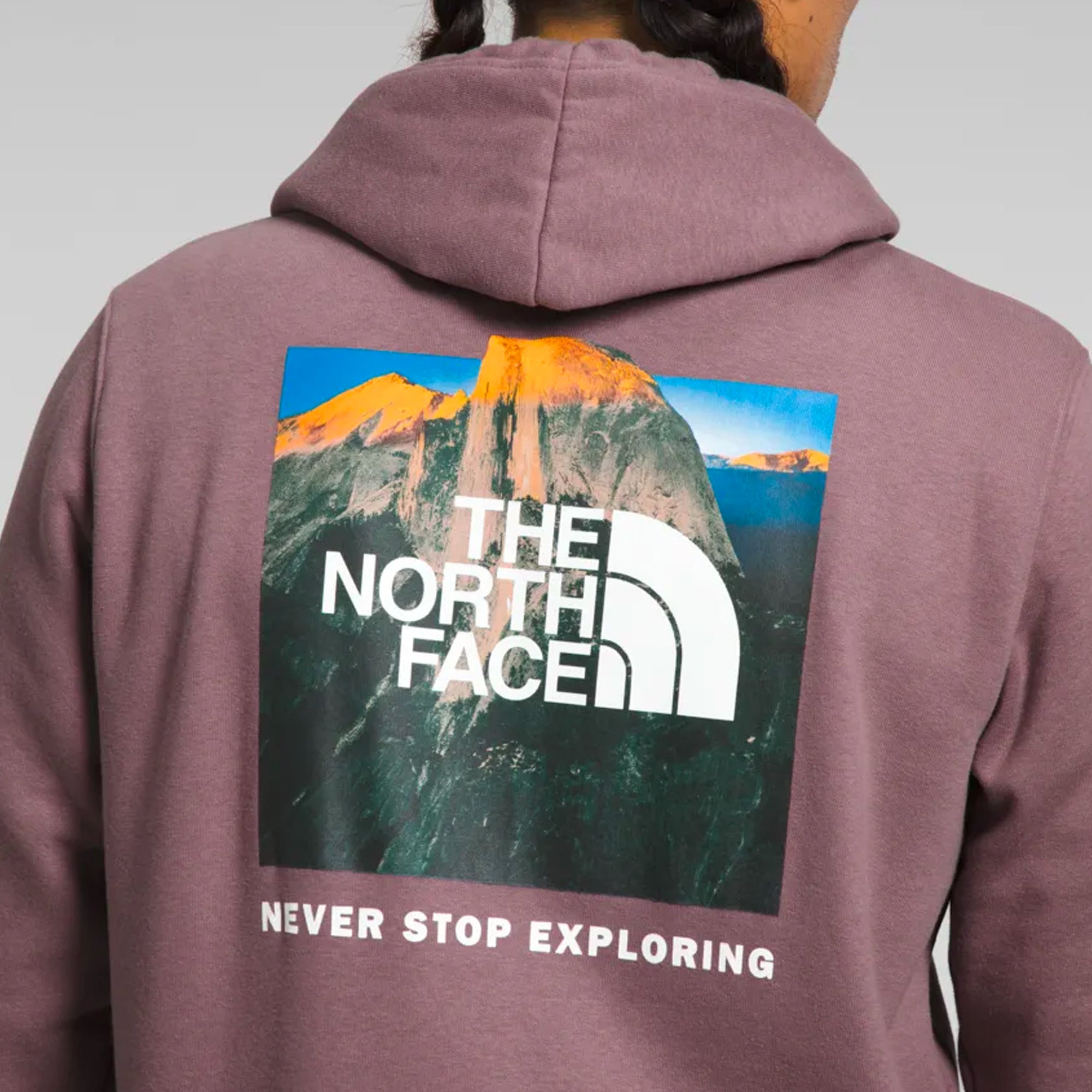 The North Face Mens Box NSE Pullover Hoodie