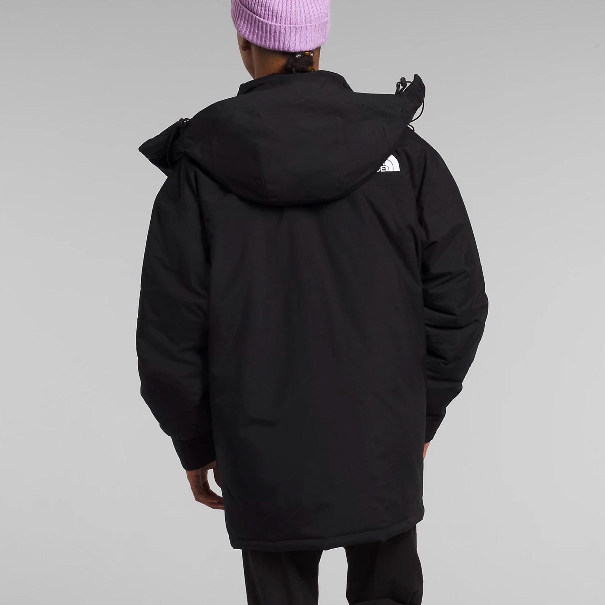 The North Face Mens Coldworks Insulated Parka