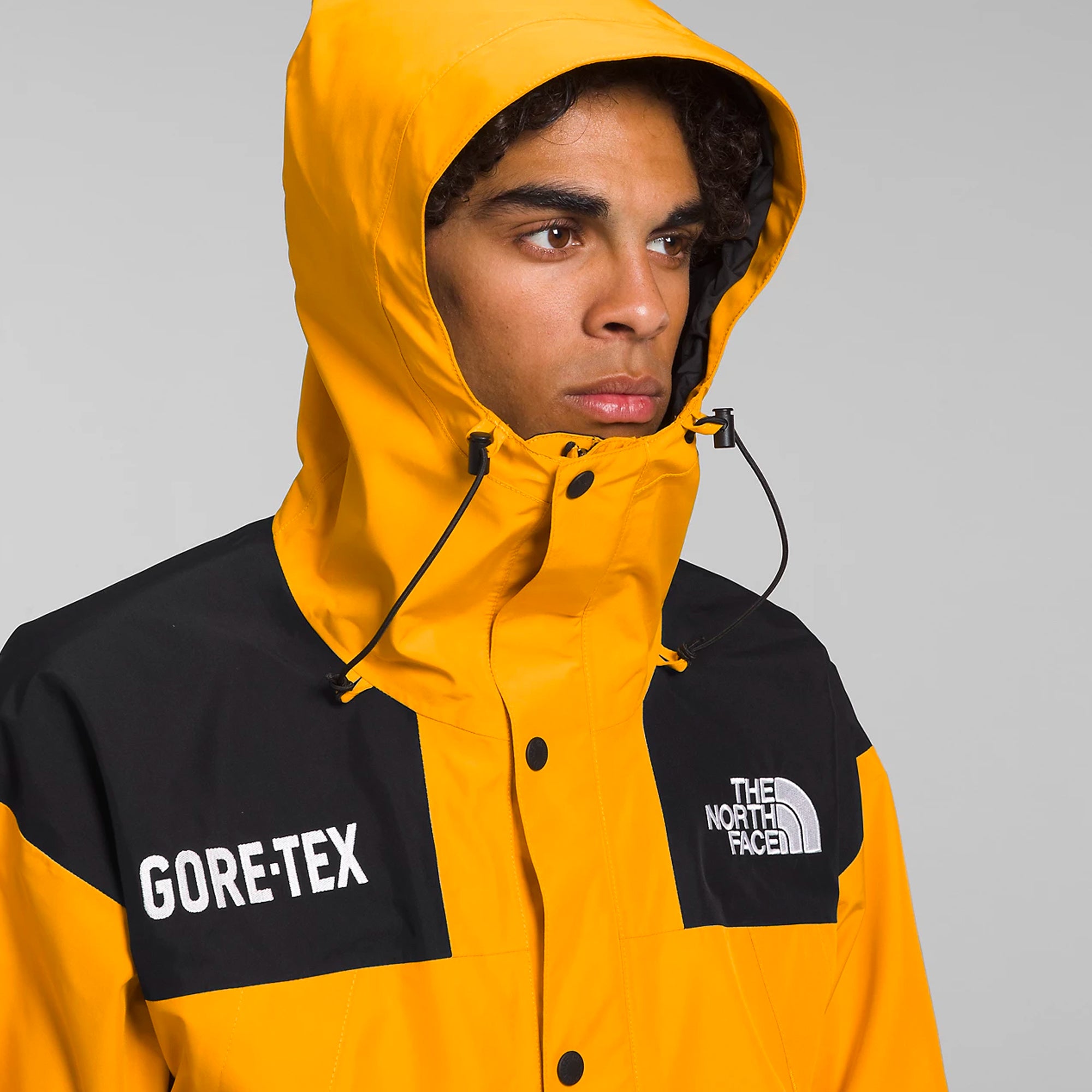 The North Face Mens GTX MTN Guide Insulated Jacket