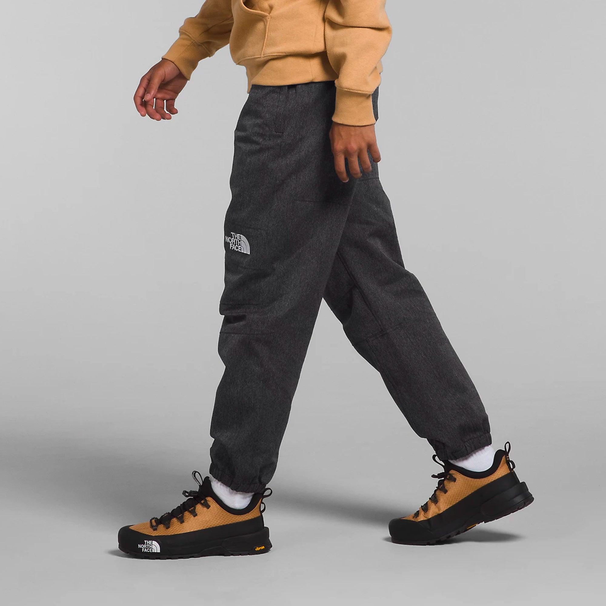 The North Face Mens GTX Mountain Pants