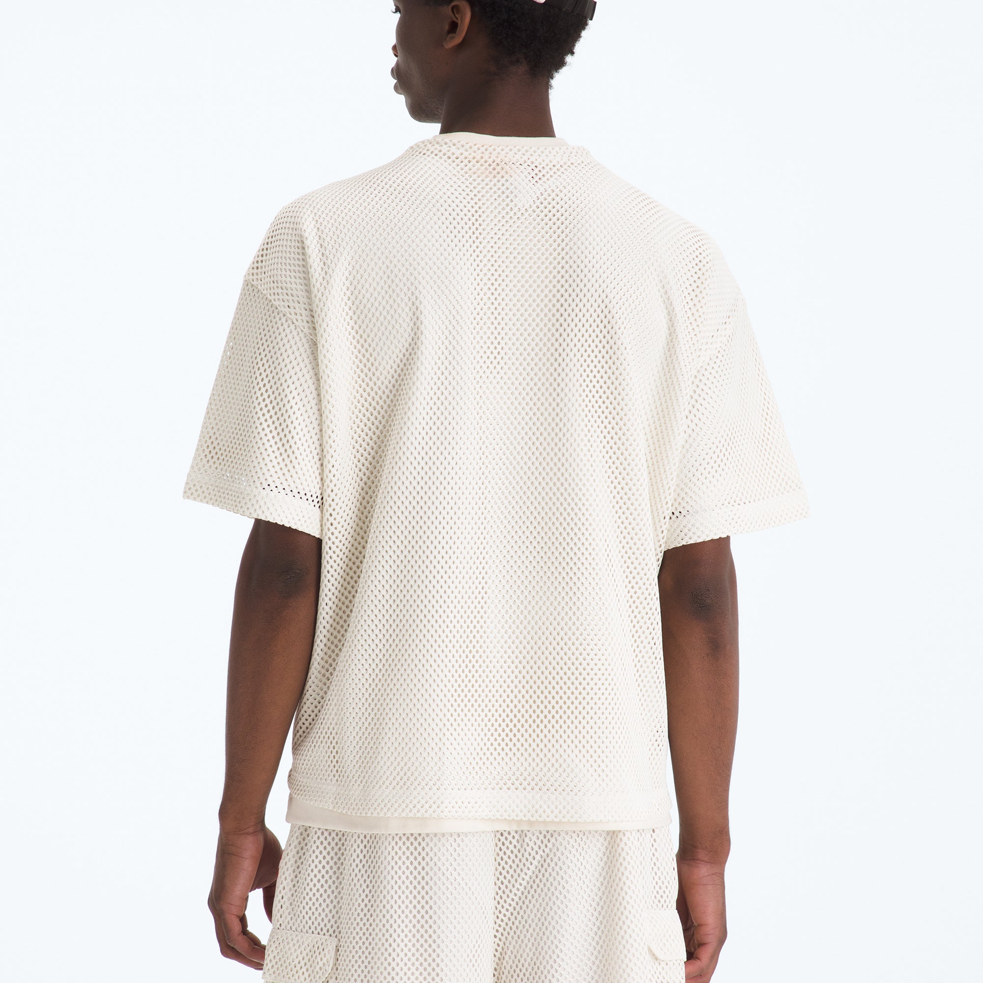 The North Face Mens Red Box Mesh Tee