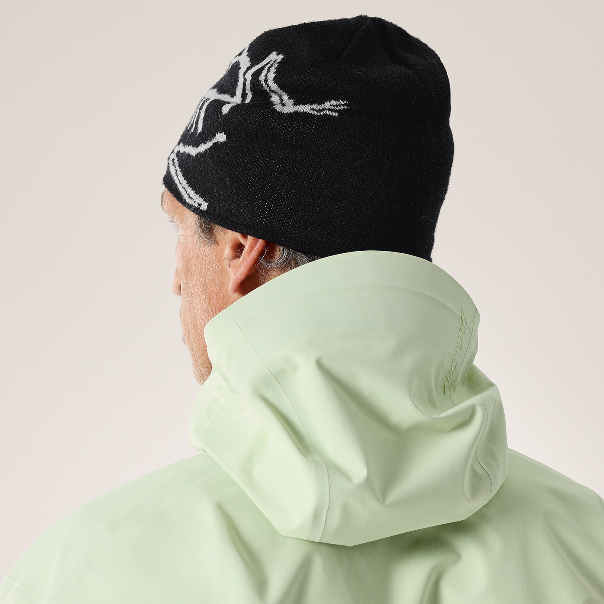 Arc'teryx Mens Bird Head Toque Hat