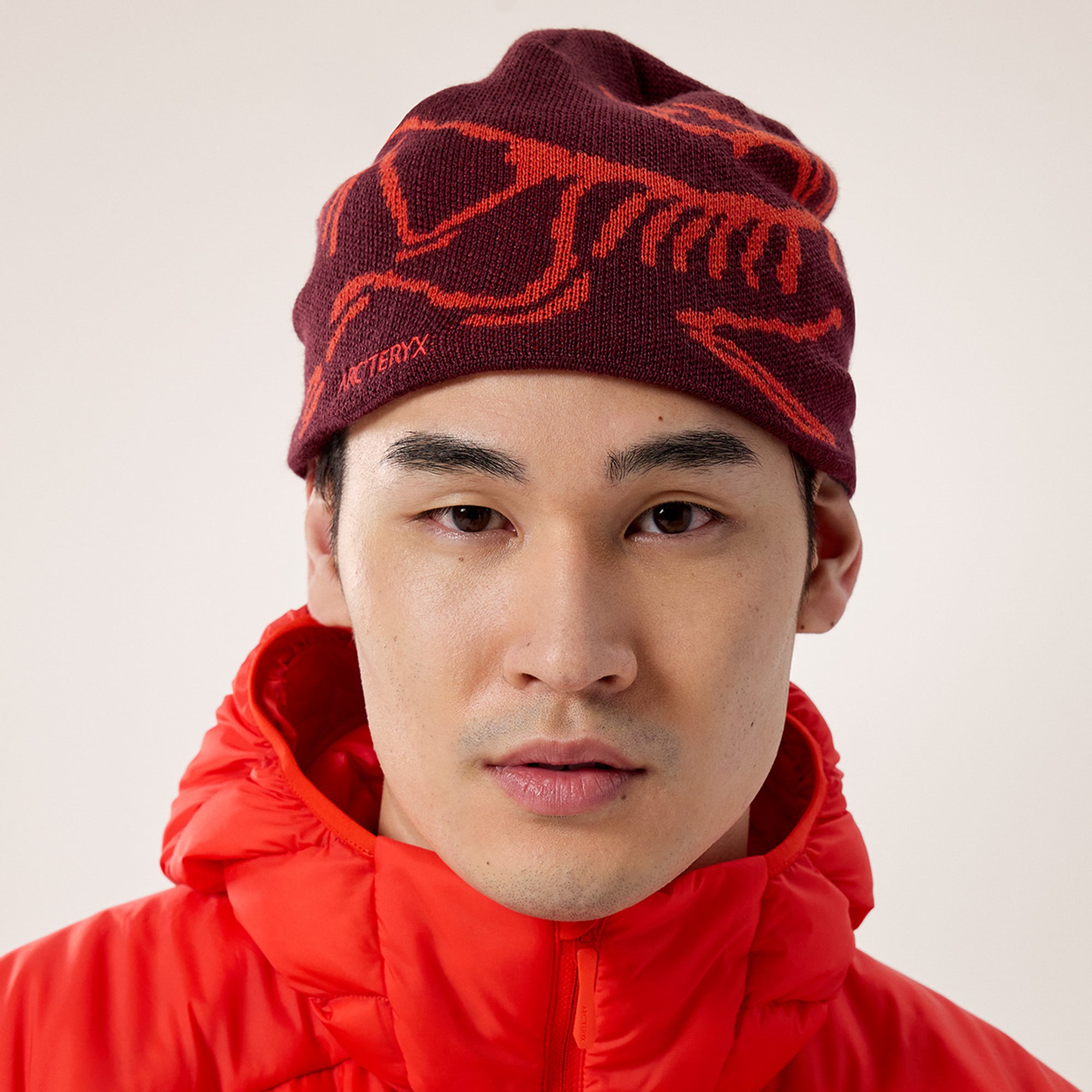 【ニキ】ARC'TERYX Bird Head Toque arc teryx bird head toque moonlit lucent