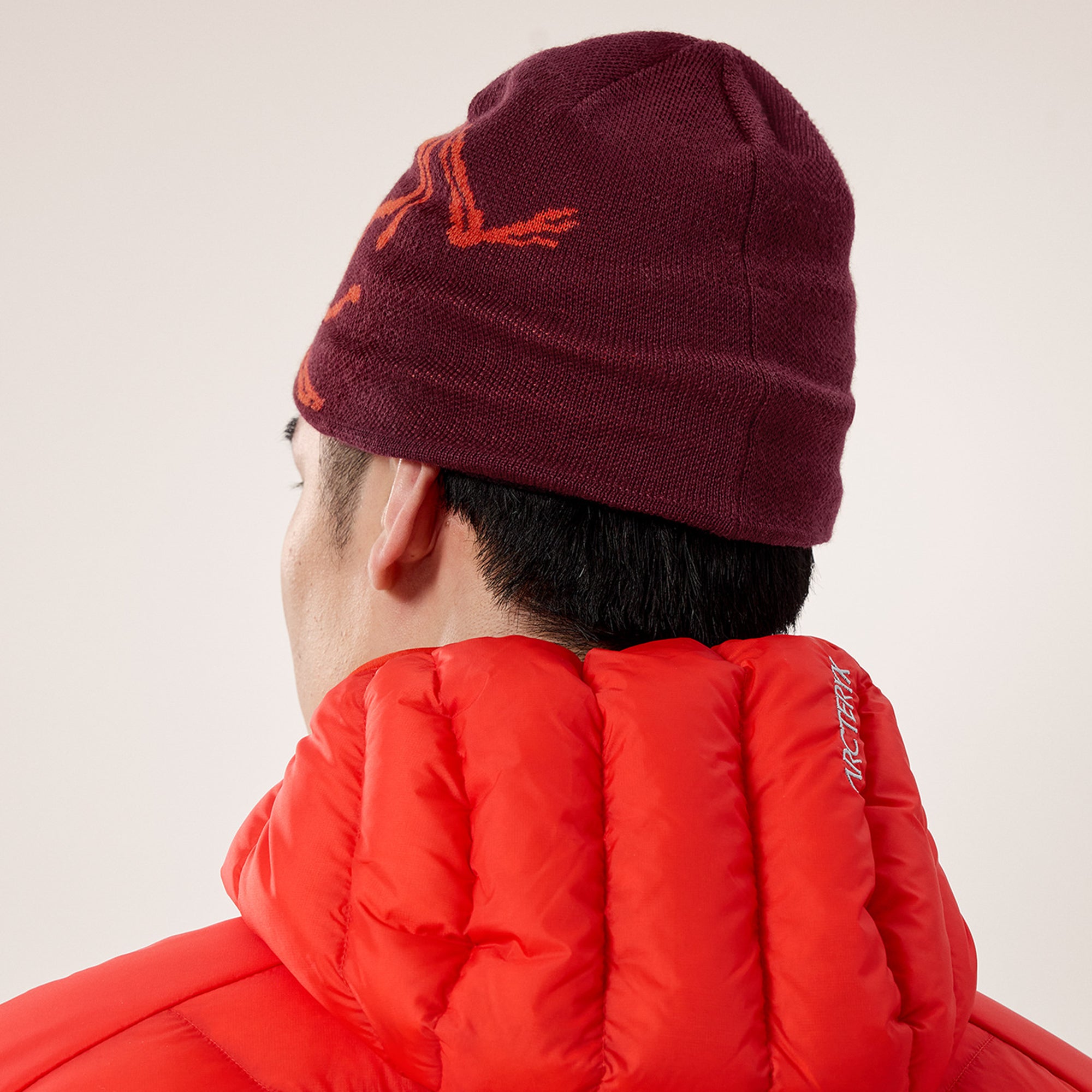 Arc'teryx Bird Head Toque Hat