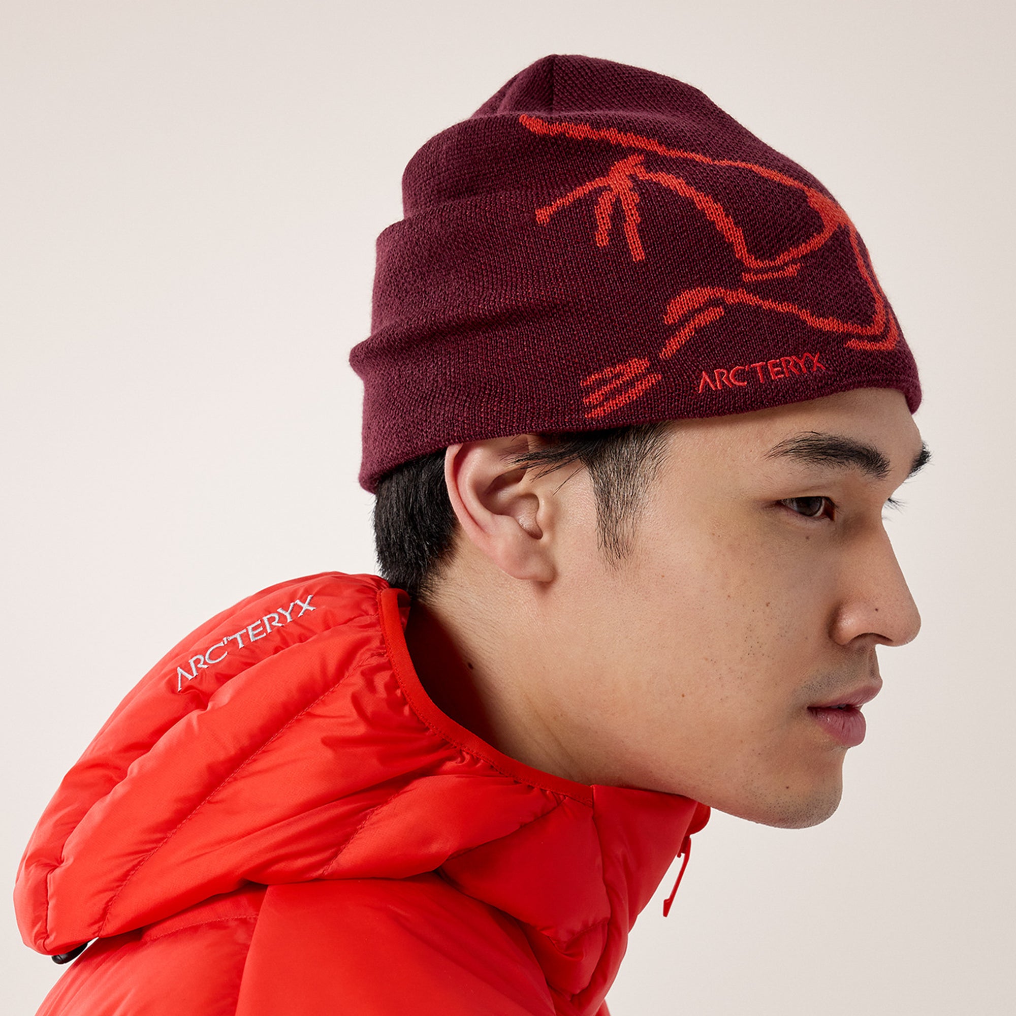 Arc'teryx Bird Head Toque Hat
