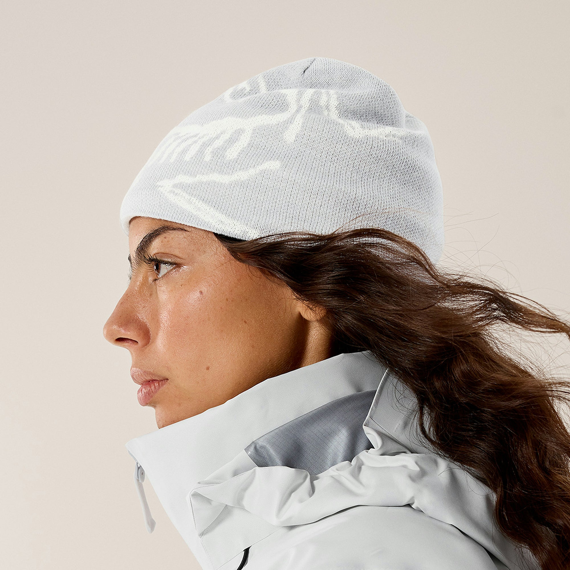Arc'teryx Bird Head Toque Hat