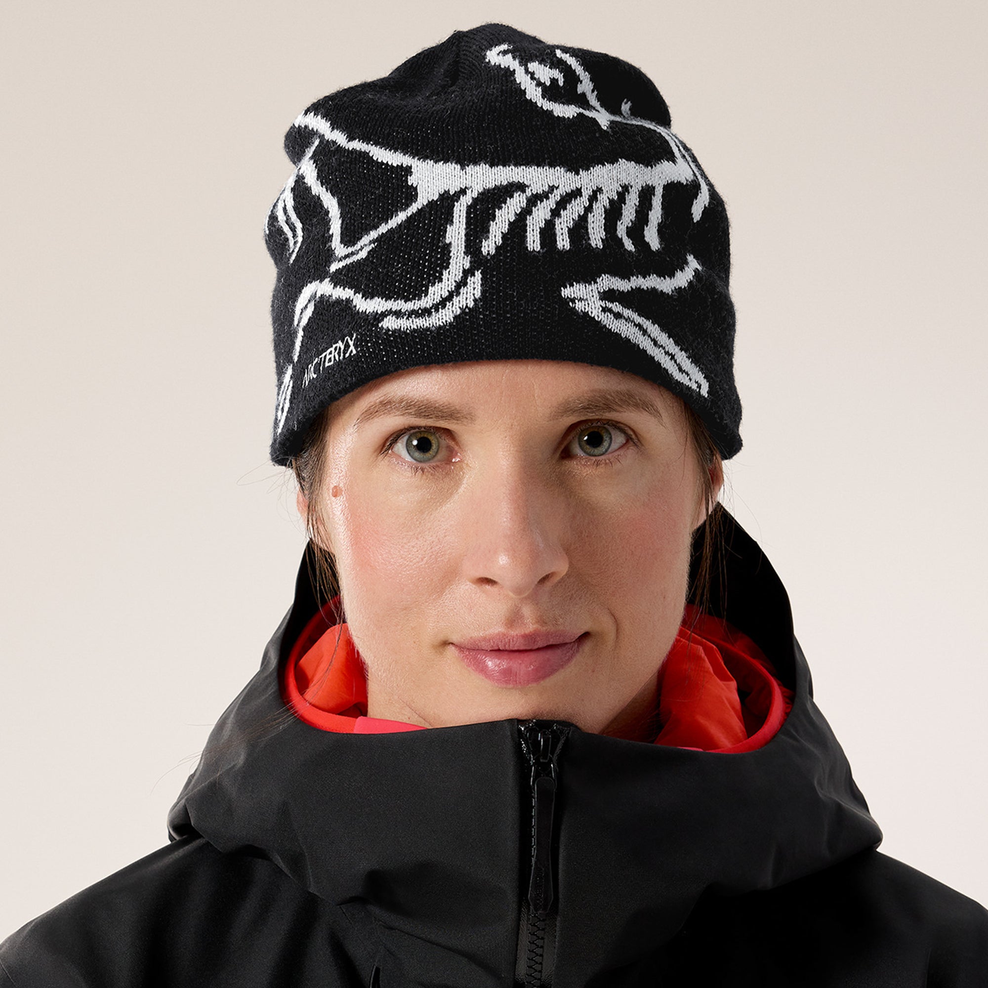 Arc'teryx Bird Head Toque Hat