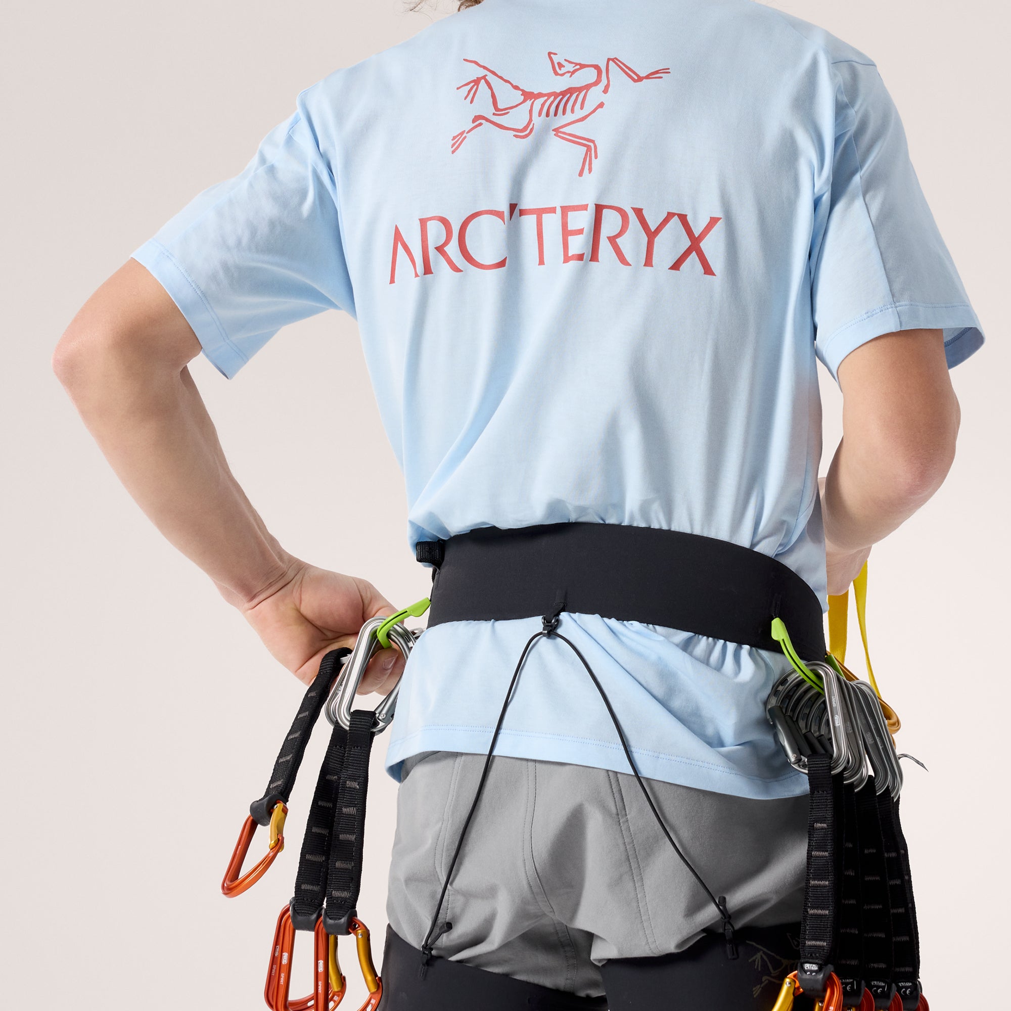 Arc'teryx Mens Kragg SL Cotton Bird Word Shortsleeve Tee