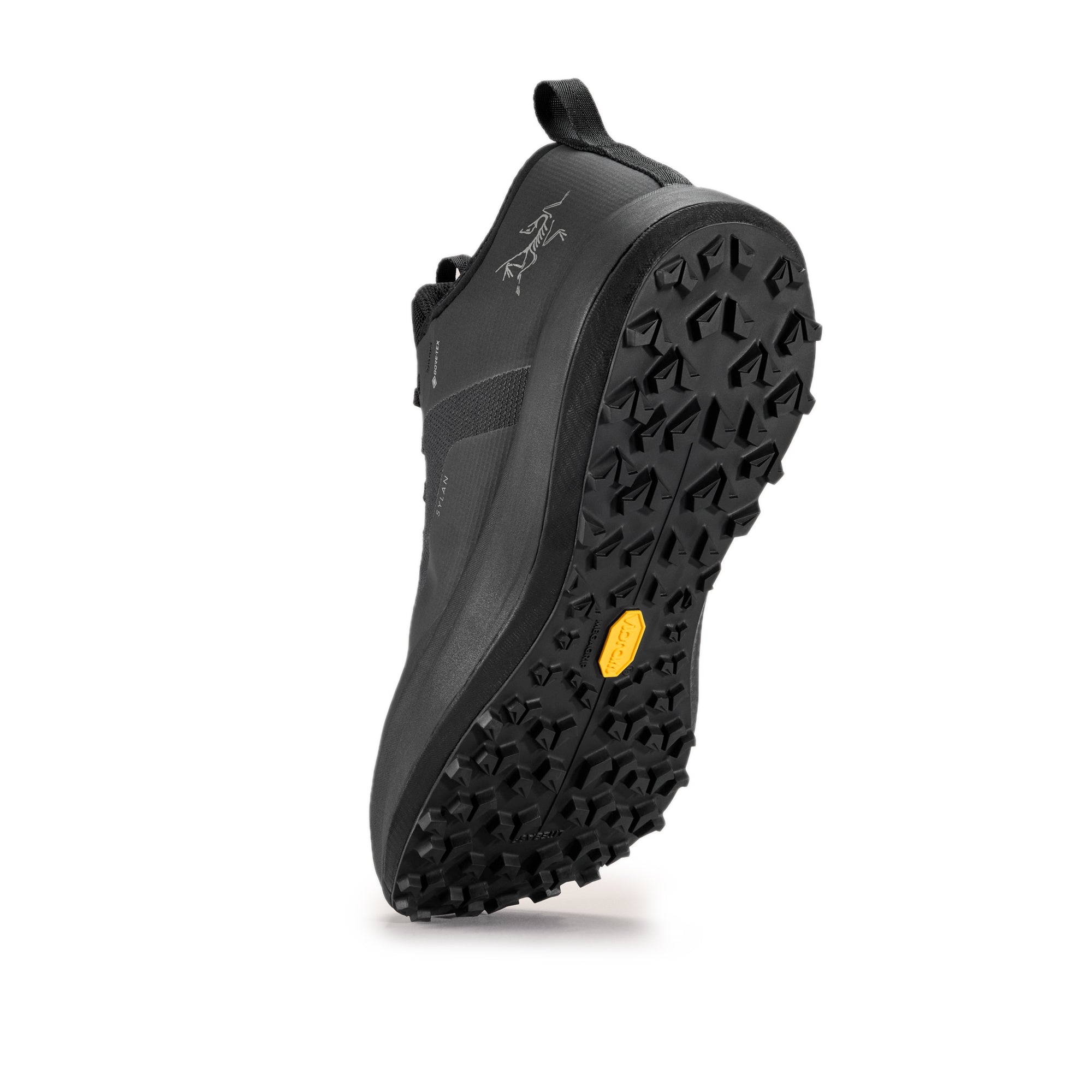 Arc'teryx Mens Sylan GTX Shoes