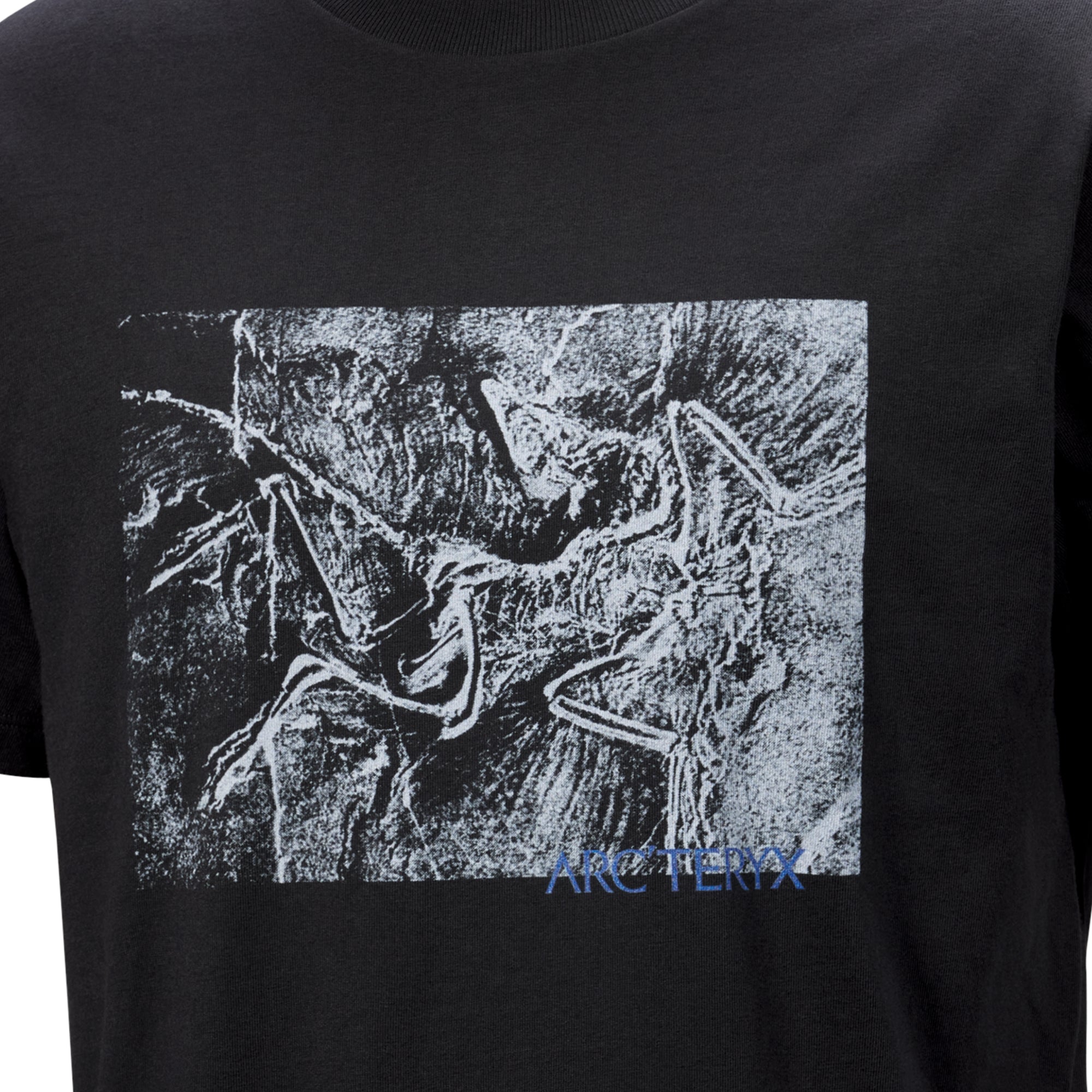 Arc'teryx Mens Kragg Cotton Lithographica Tee – Extra Butter