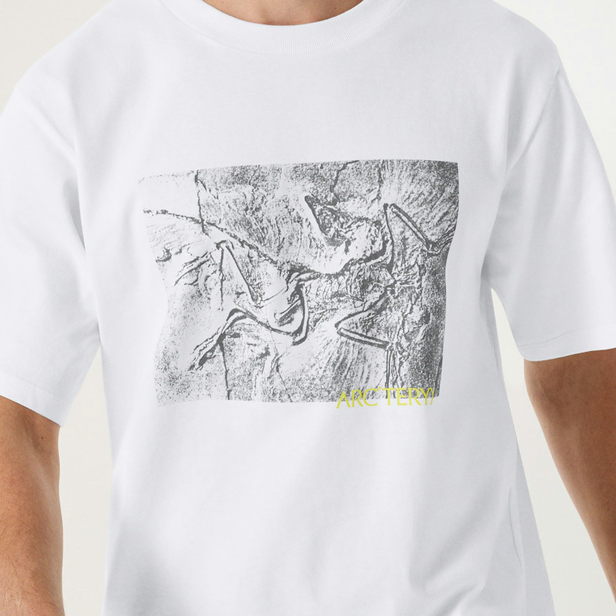 Arc'teryx Mens Kragg Cotton Lithographica Tee