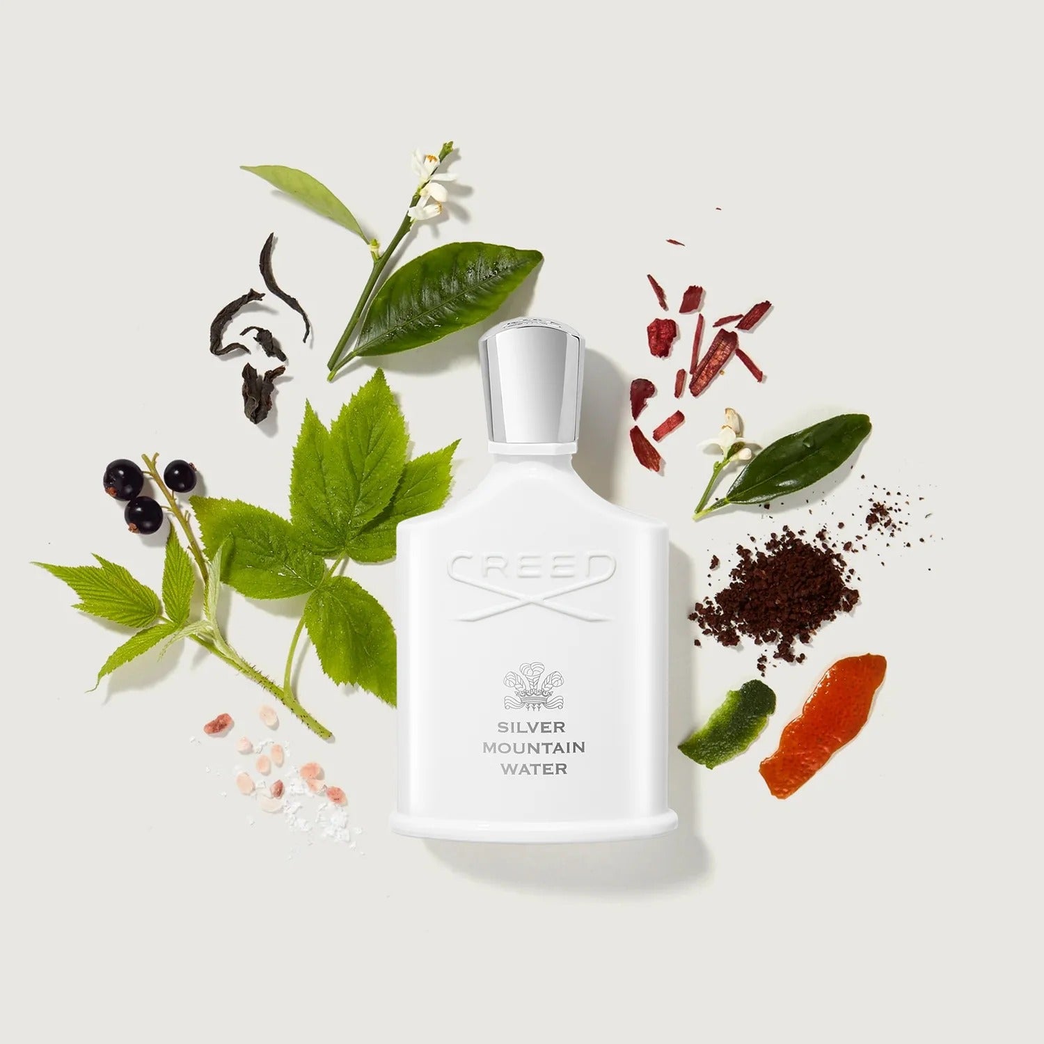 Creed Silver Mountain Water 50ML Cologne