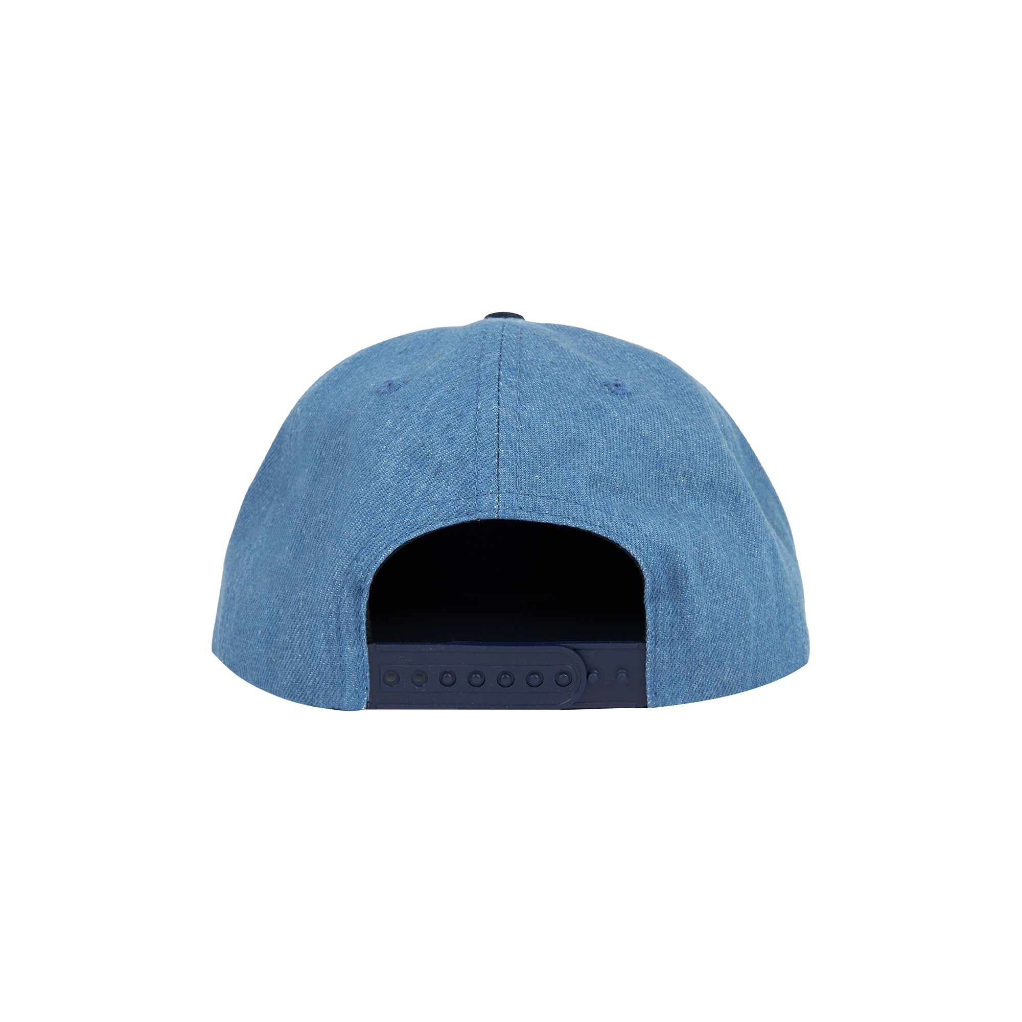 Pleasures Stretch Snapback Hat