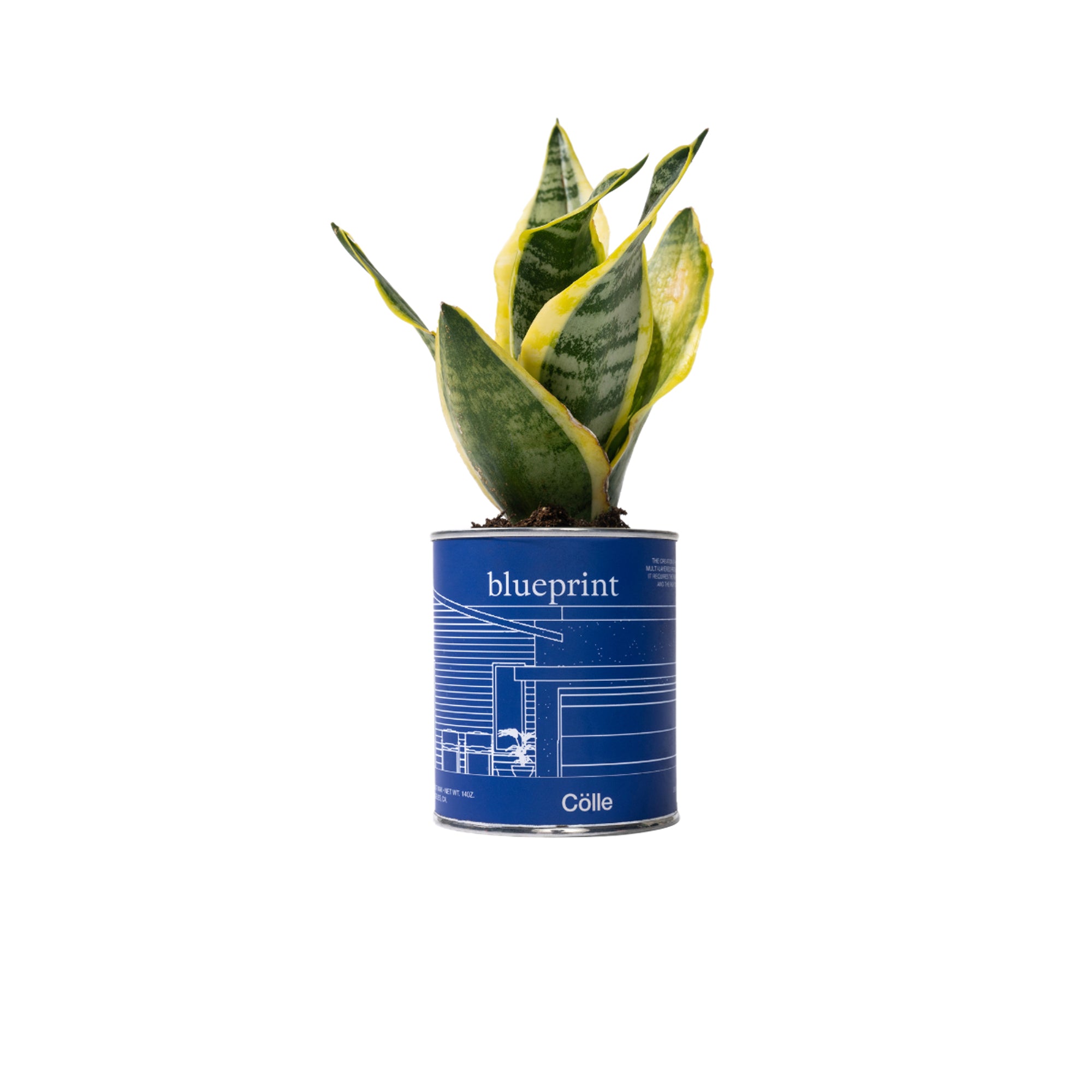 Colle Blueprint Candle