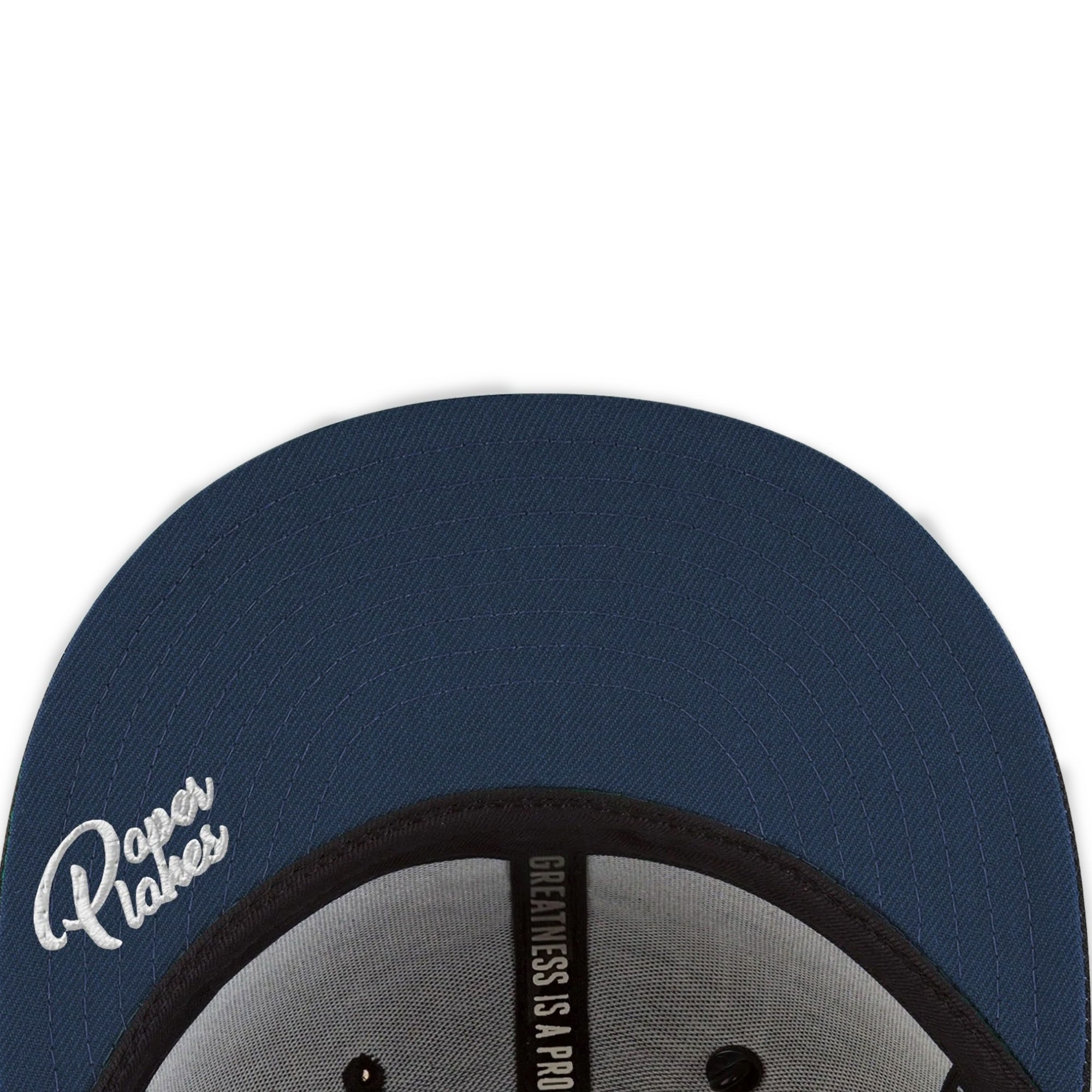 Paper Planes Mens Scripted Mantra Old School Snapback w/ Contrast Undervisor 'June Bug'