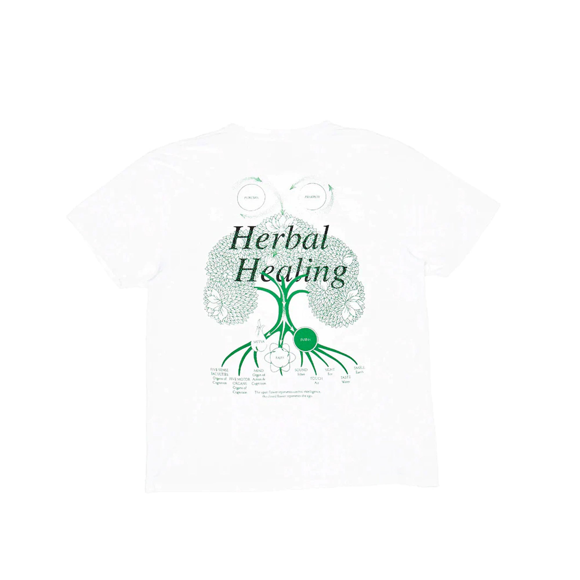 CRTFD Mens Plant Medicine SS Tee