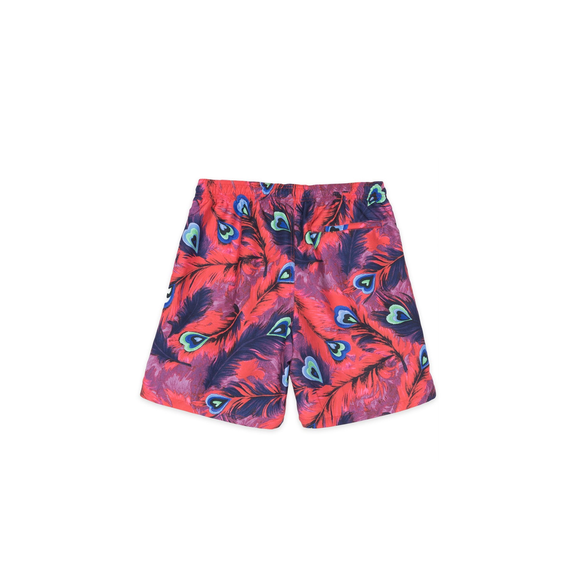 Stussy Peacock Water Shorts [113111]