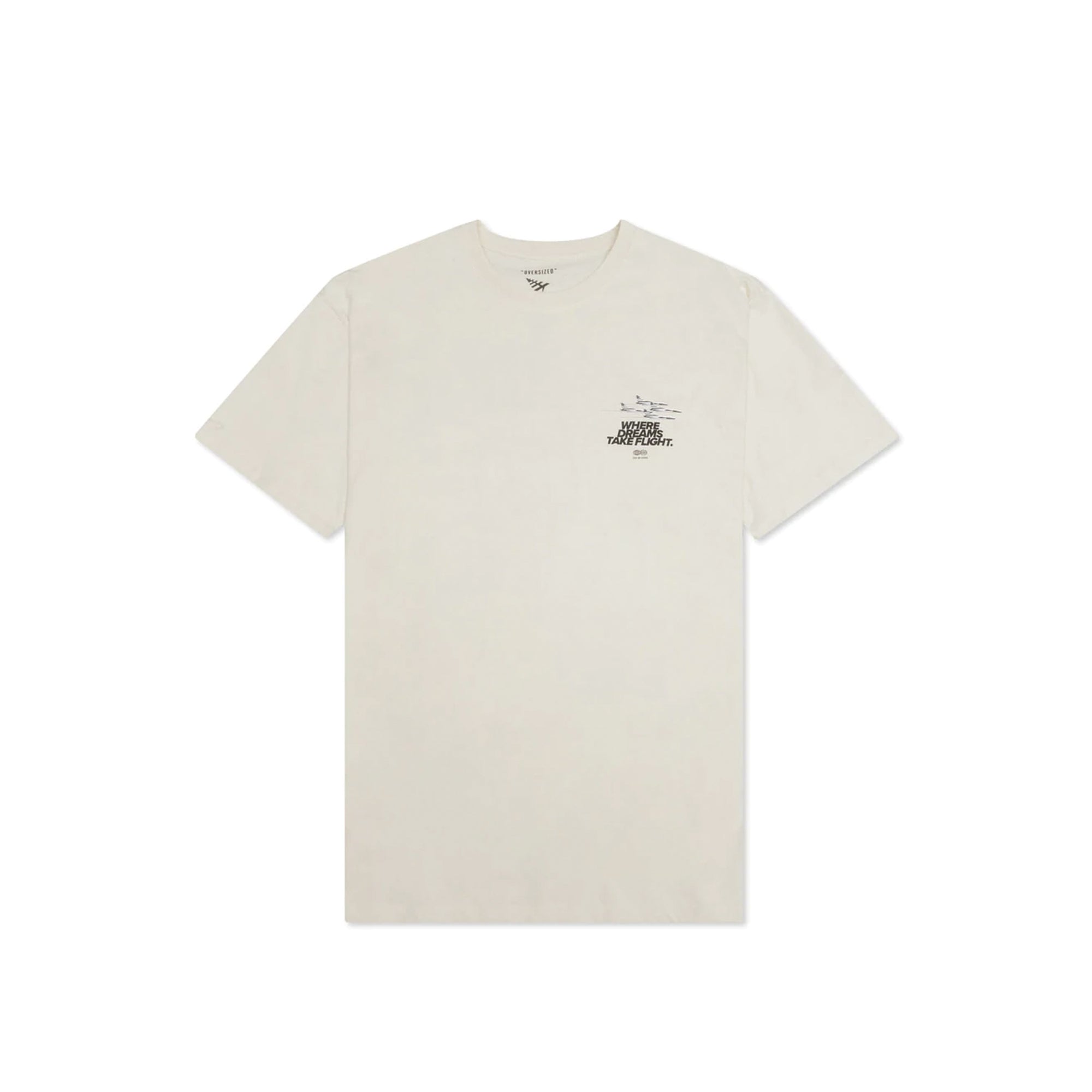 Paper Plane Mens Dream Valley Oversized Tee 'Vapor'