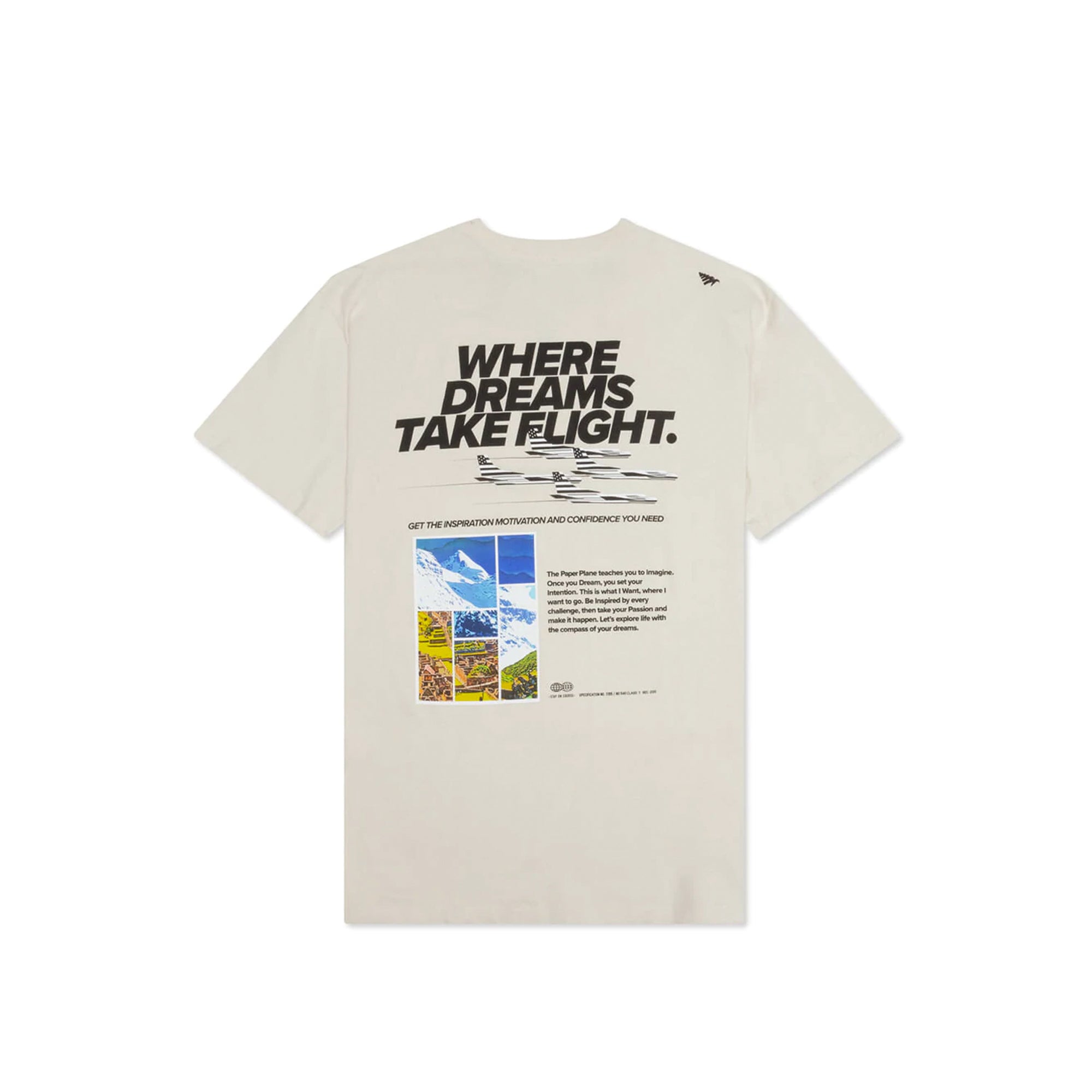 Paper Plane Mens Dream Valley Oversized Tee 'Vapor'