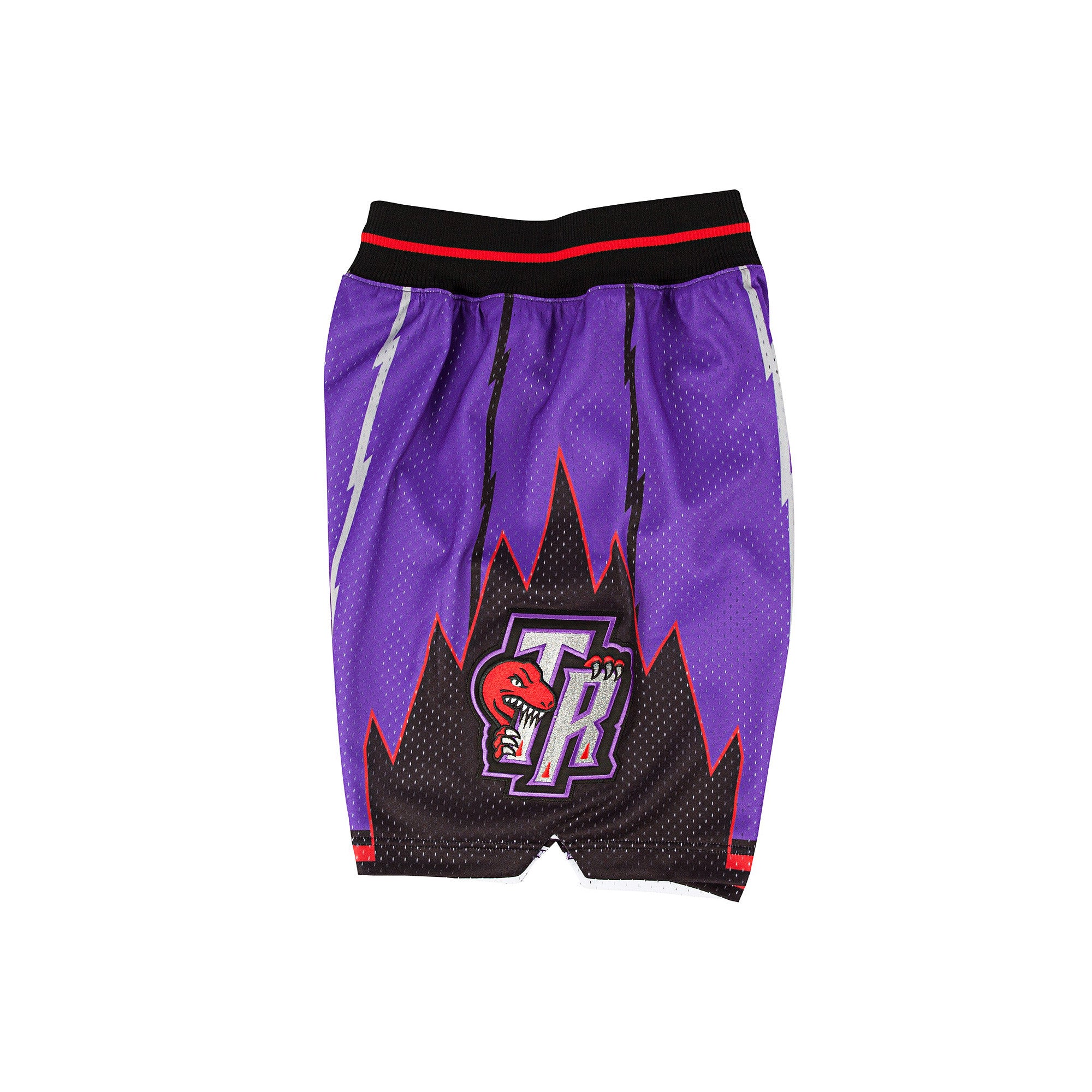 Mitchell & Ness Men's Toronto Raptors Authentic Basketball Shorts- Purple