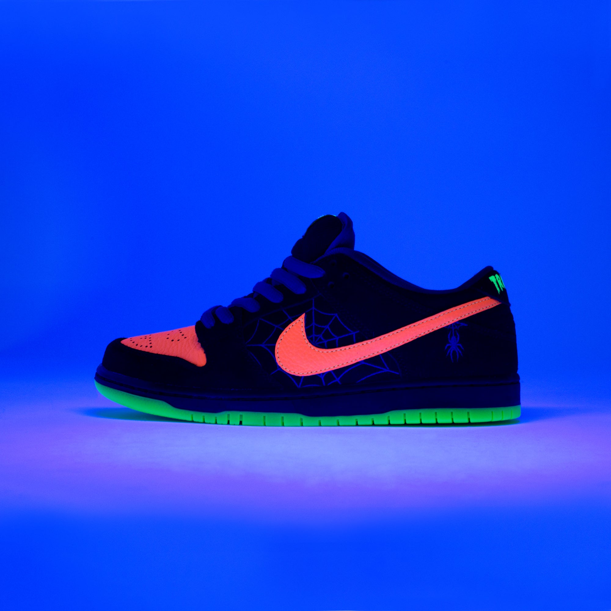 Nike SB Dunk Low Pro [BQ6817-006]