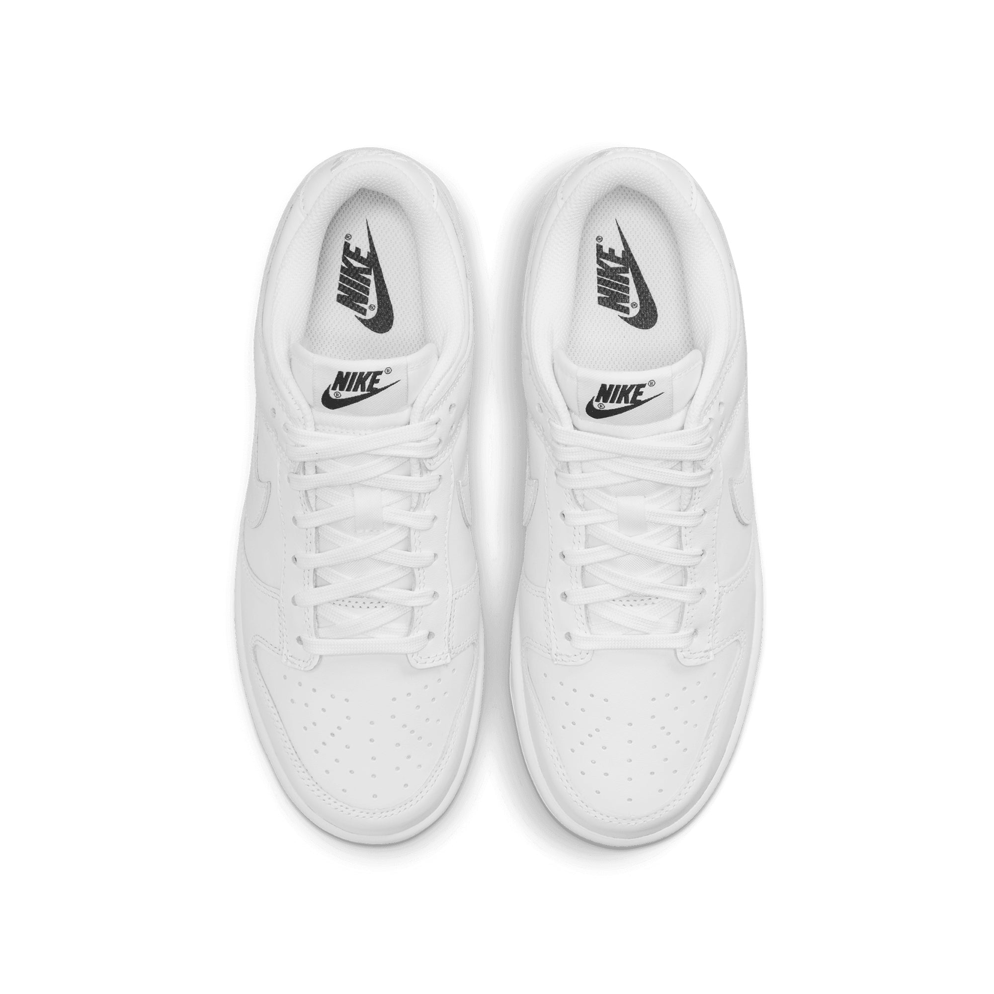 Nike Womens Dunk Low Shoes