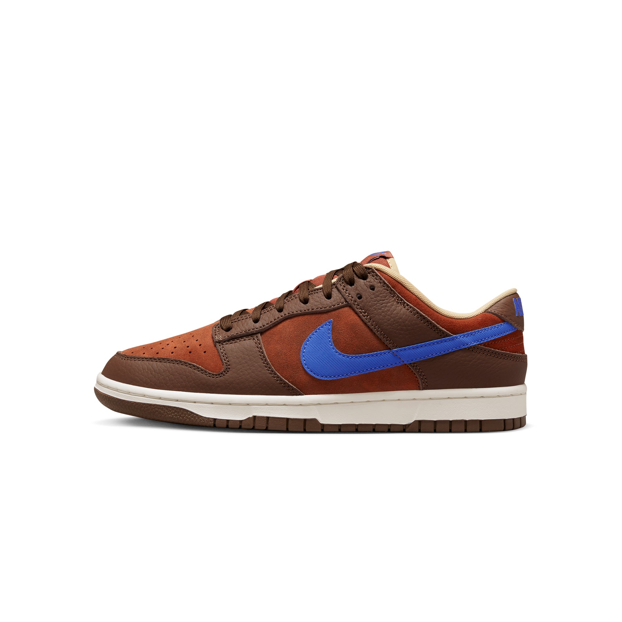 Nike Mens Dunk Low Retro Premium Shoes