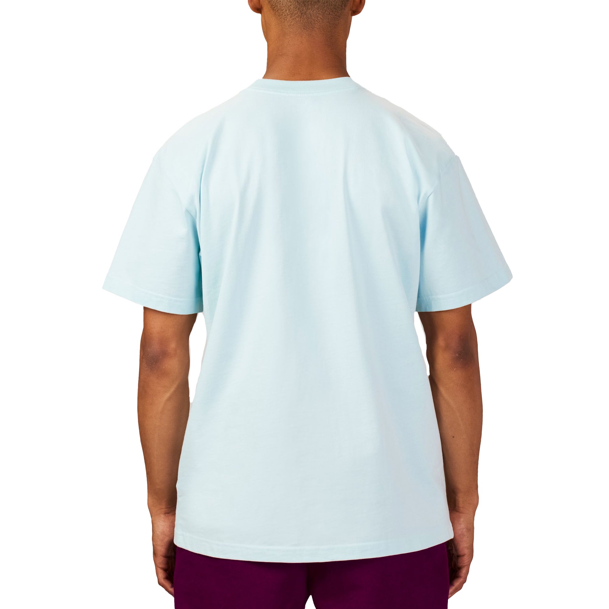 The North Face XX Kaws Mens SS Tee 'Ice Blue'