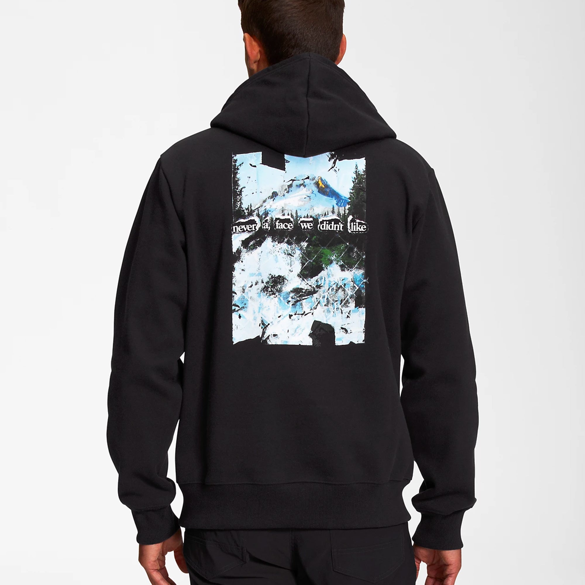 The North Face Mens Printed Heavyweight Pullover Hoodie