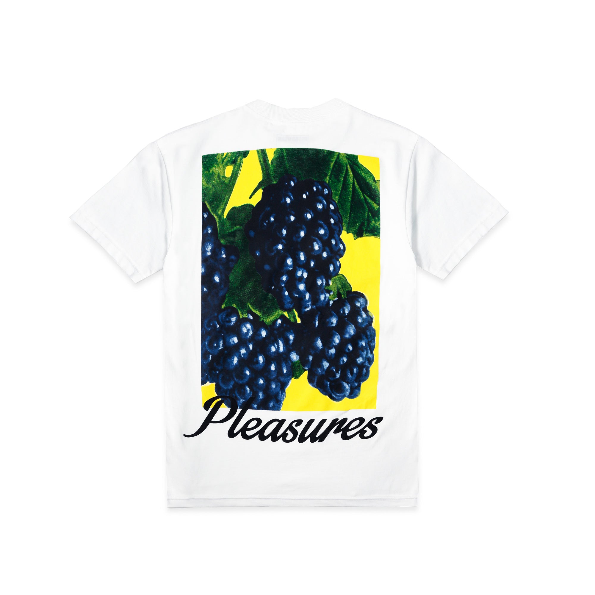 Pleasures Berries Tee [P18S101012-WHT]