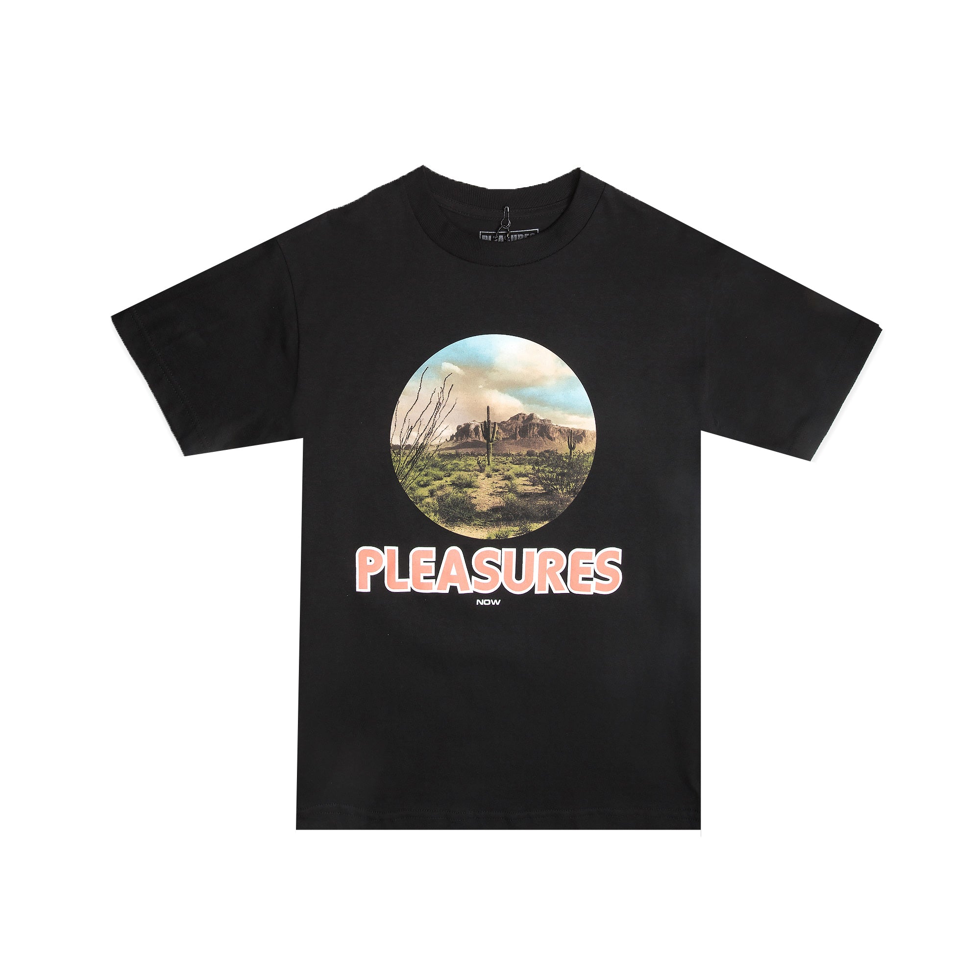 Pleasures Killafornia Tee [P18W101033]