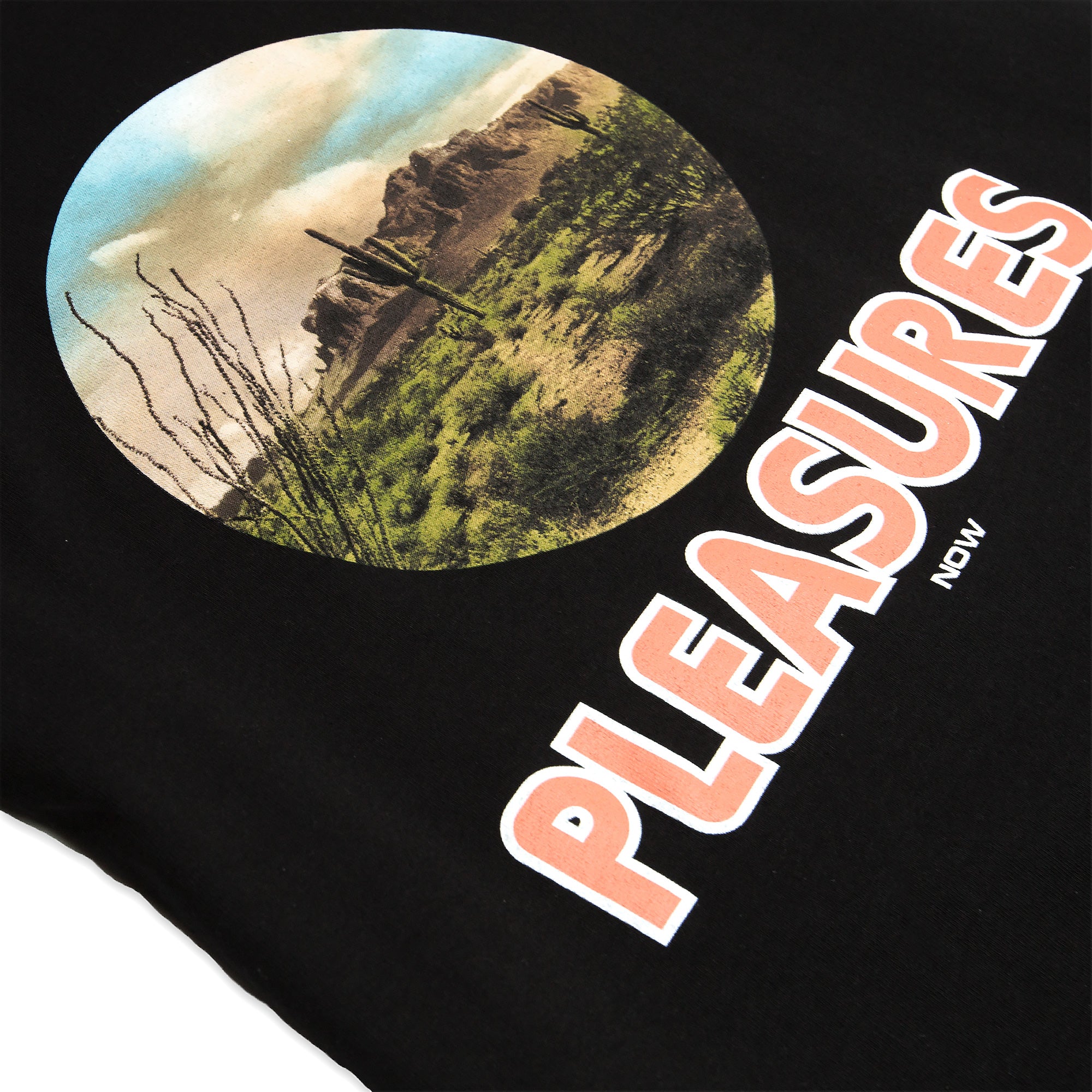 Pleasures Killafornia Tee [P18W101033]